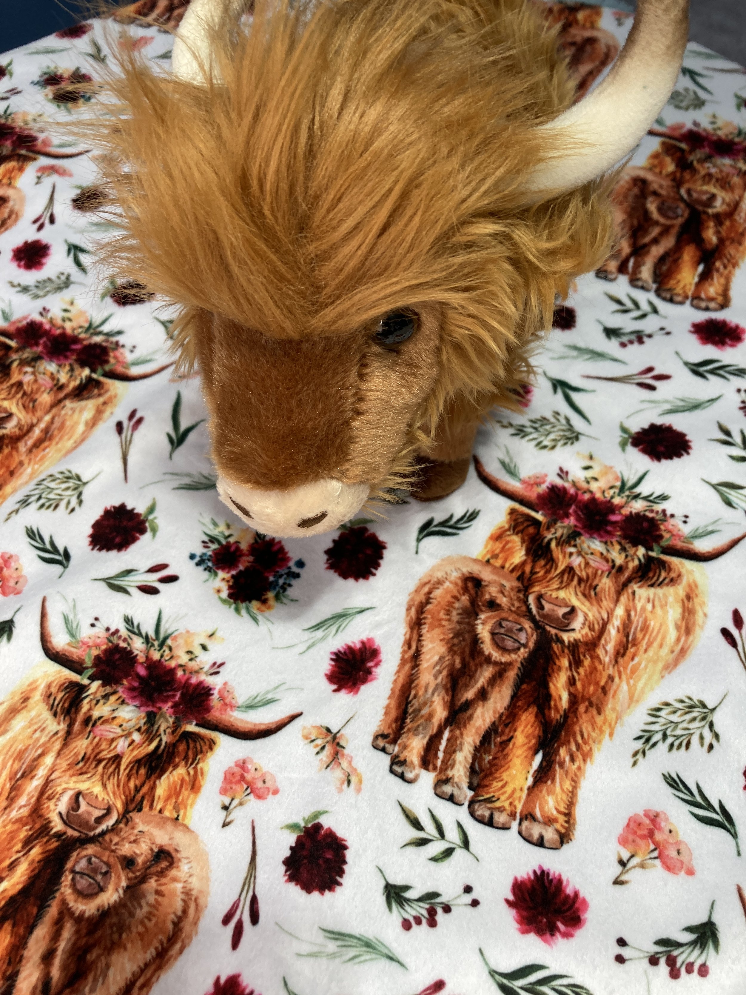 Highland Cow Luxe Cuddle Baby Blanket