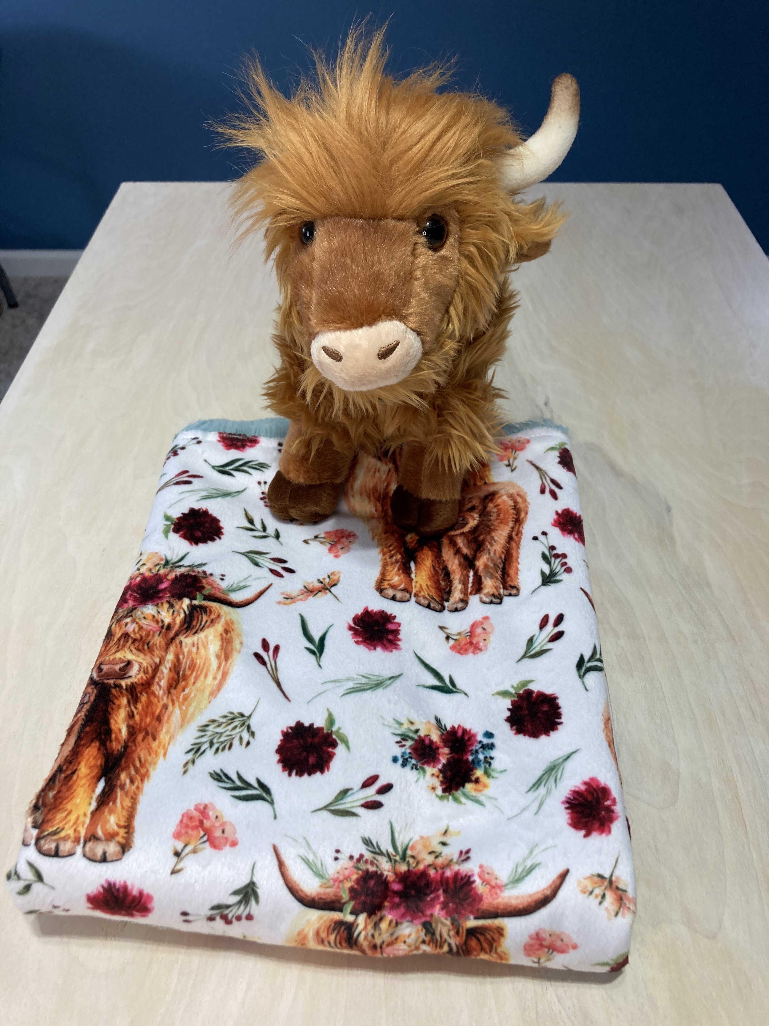 Highland Cow