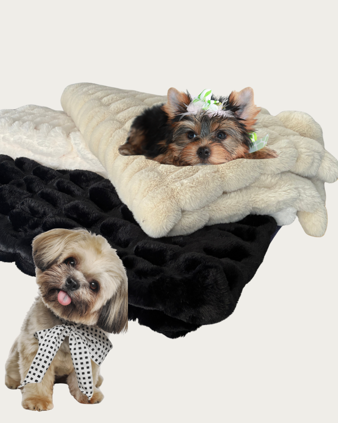 Untitled design-7.png