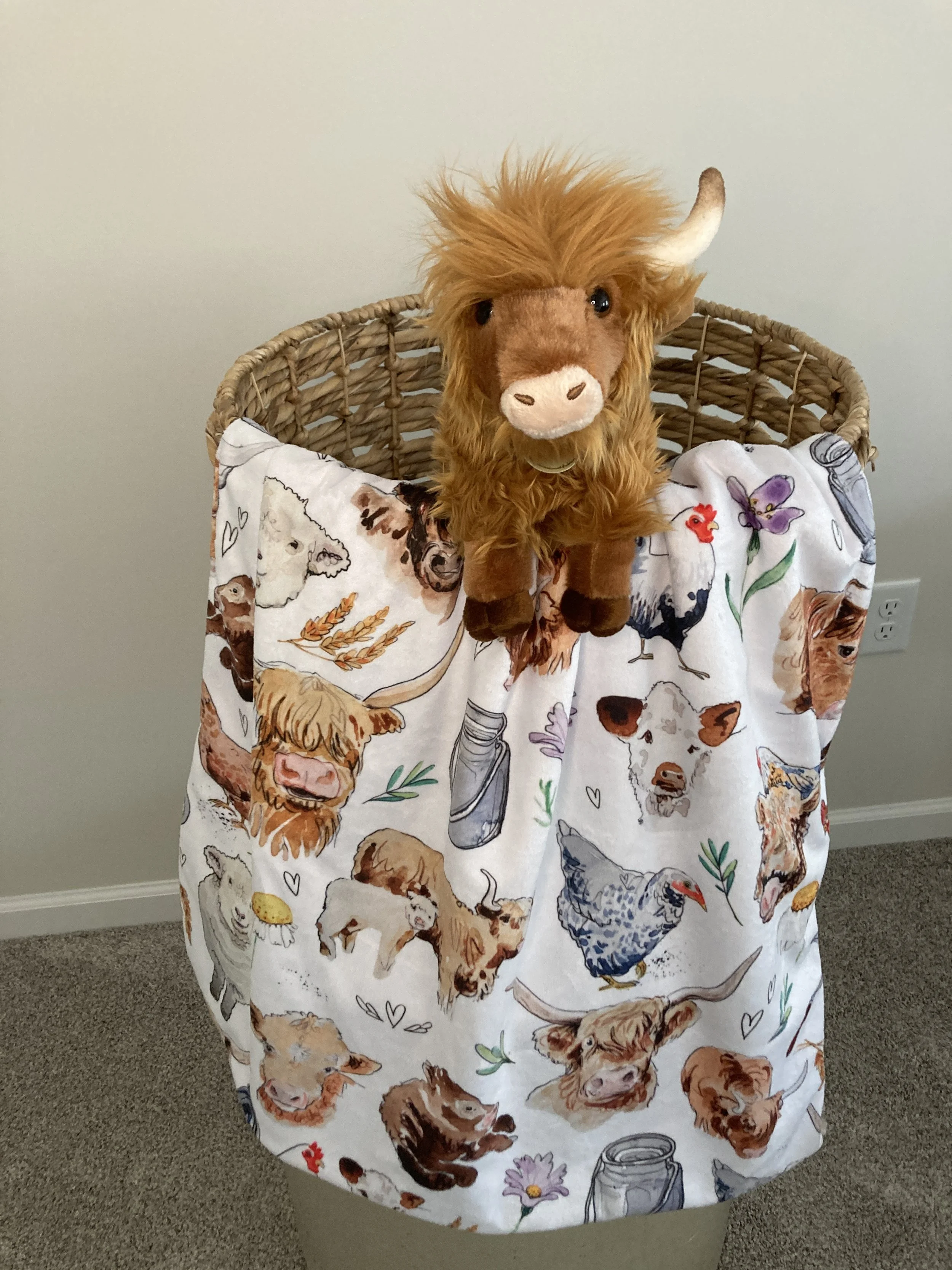 Farm House Friends Baby Blanket