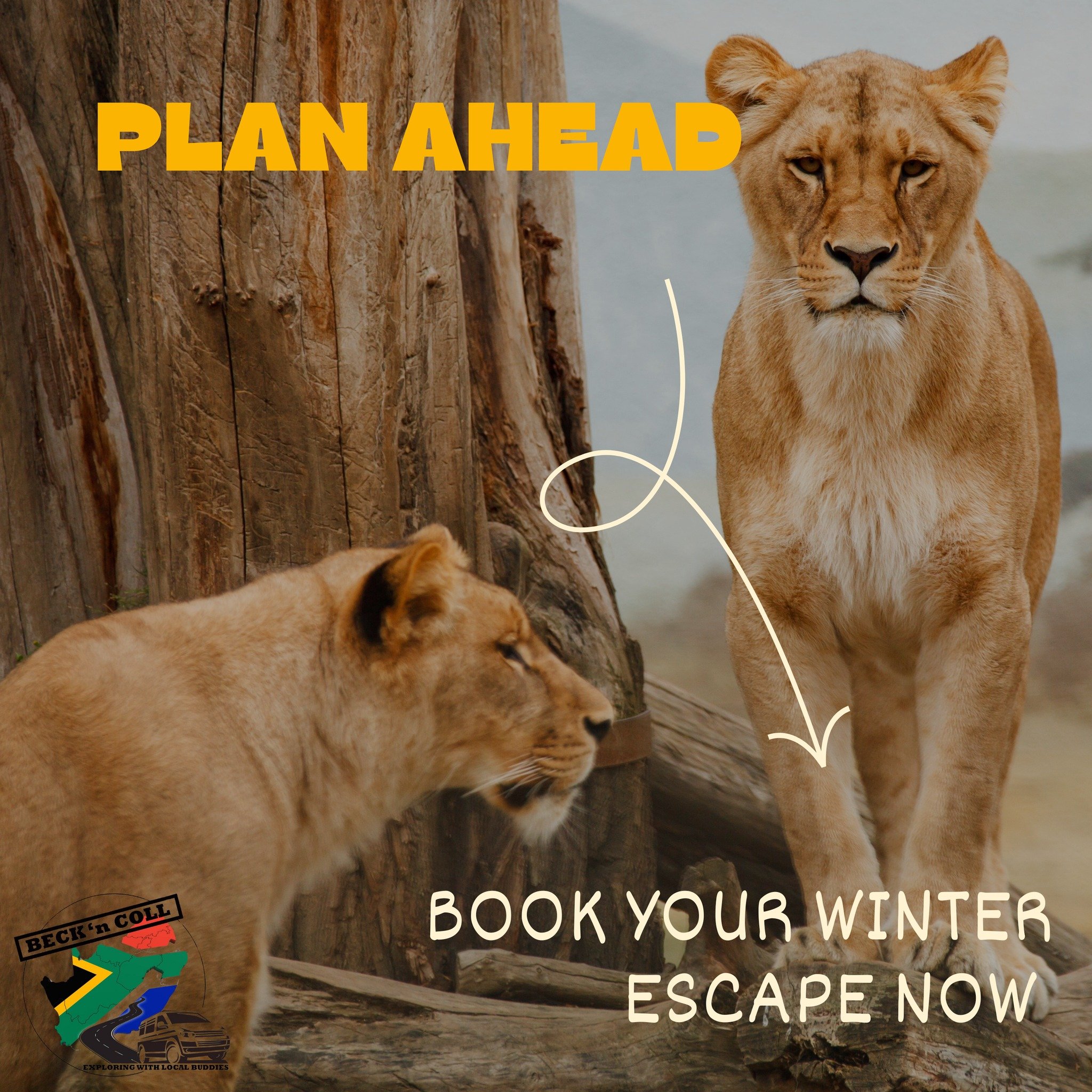 Winter in Kruger? Absolutely! While Summer gets all the attention, Winter is one of the best times to visit the bush.
Cooler temperatures make game drives more comfortable, and with less vegetation, spotting wildlife is easier than ever! ๐
โจ
You&