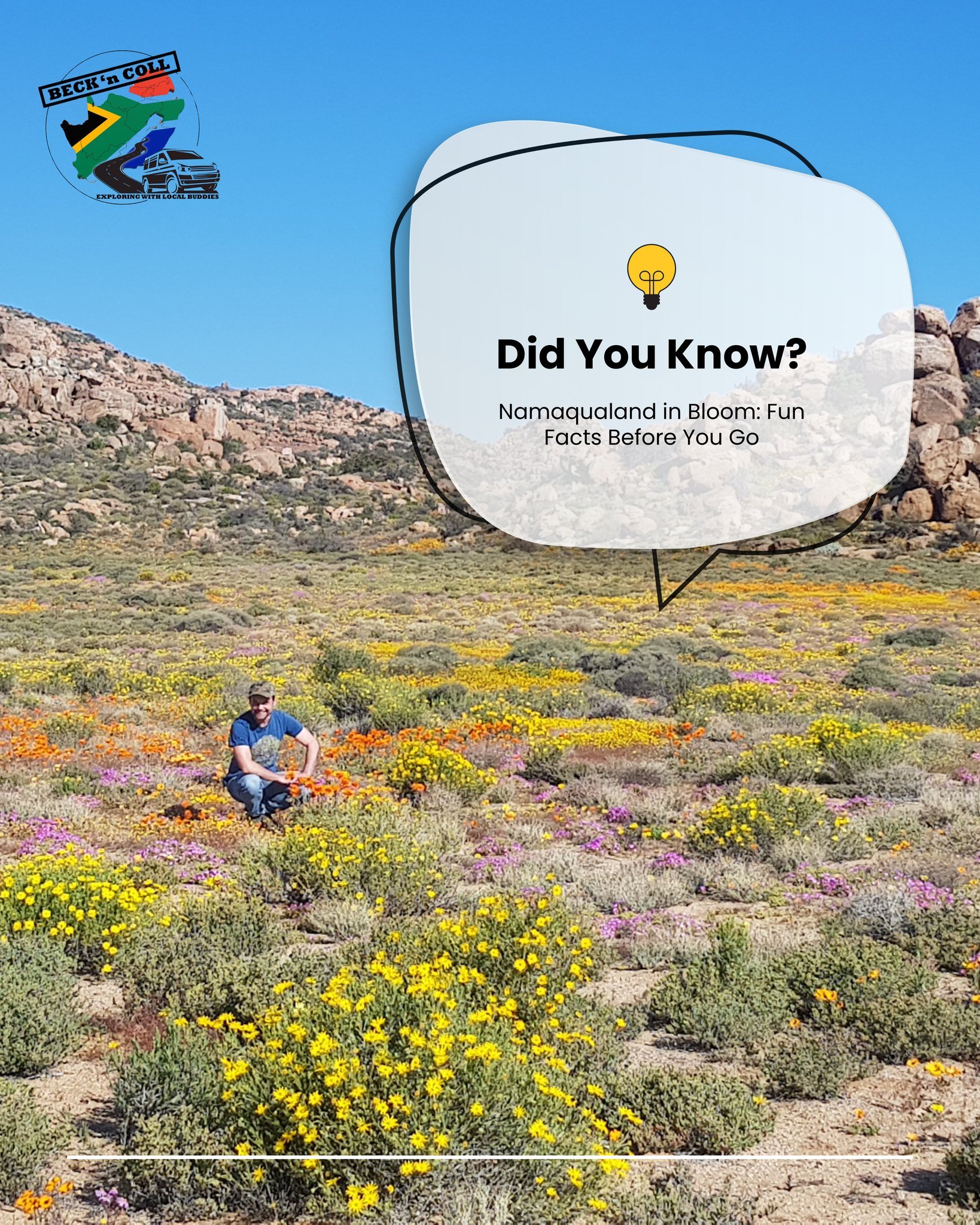 In honour of our upcoming wildflower tour, here are a few interesting facts about one of South Africa’s most magical regions:
๐ป Namaqualand is home to over 3,500 plant species – more than 1,000 of these can’t be found anywhere els