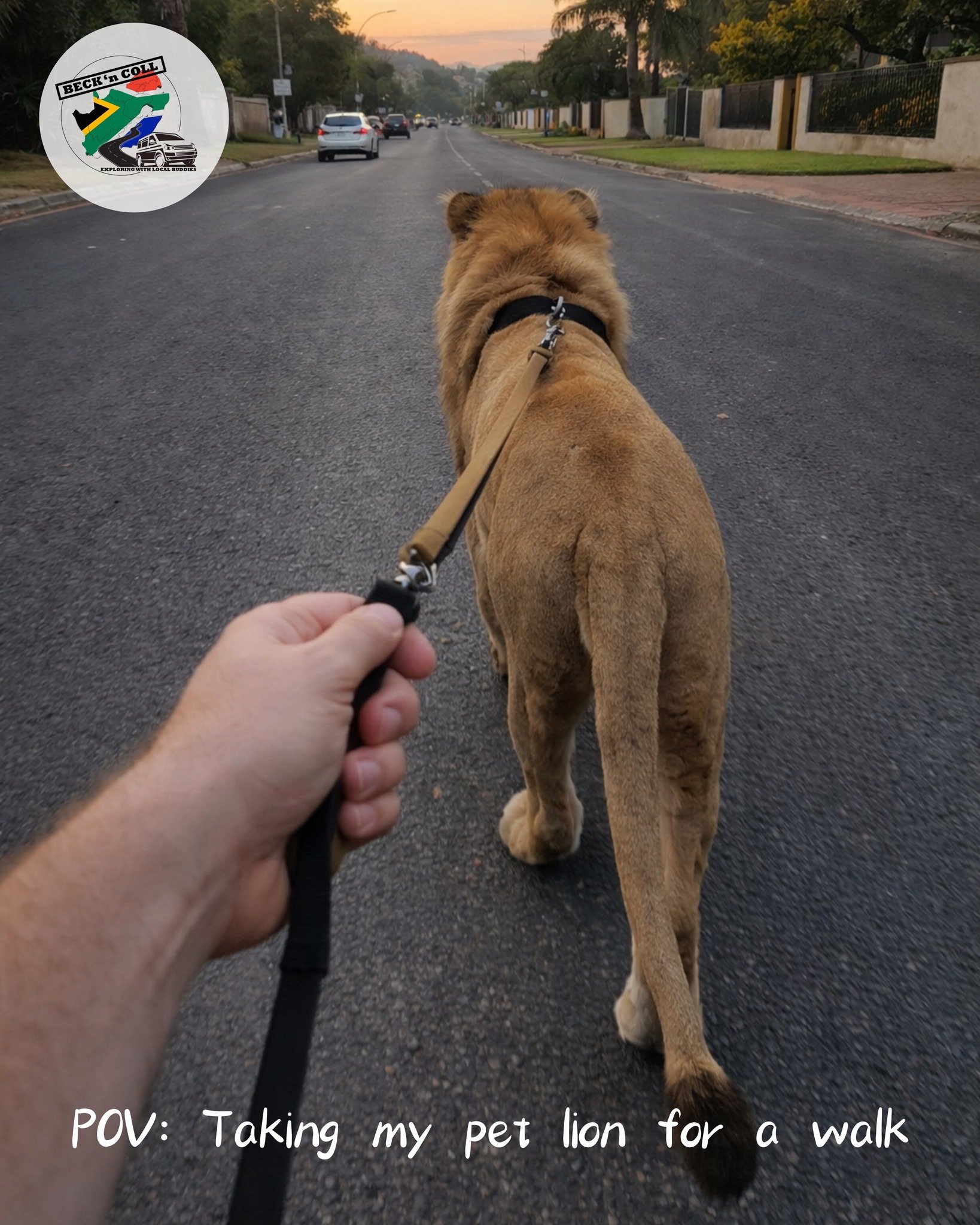 POV: Just taking my pet lion for a walk before logging in for the day.
You know&hellip; standard South African morning routine.

Coffee ☑️
Lion fed ☑️
Avoided elephants in traffic ☑️

In case anyone overseas is wondering... no, we don&rsquo;t all liv
