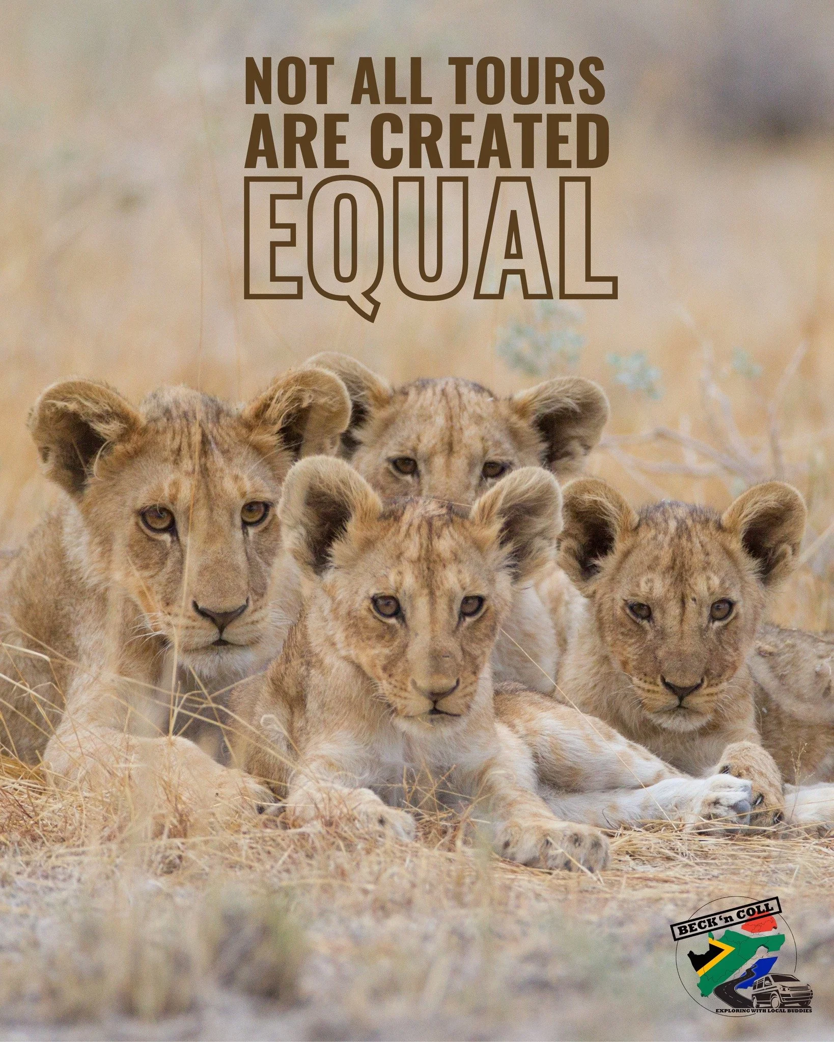 Not all &ldquo;tours&rdquo; are created equal&hellip; and you feel it very quickly. 

 There&rsquo;s the kind where you&rsquo;re one of many:
 Following a schedule, sticking to the script. 😶

And then there&rsquo;s the kind where:
You can ask questi