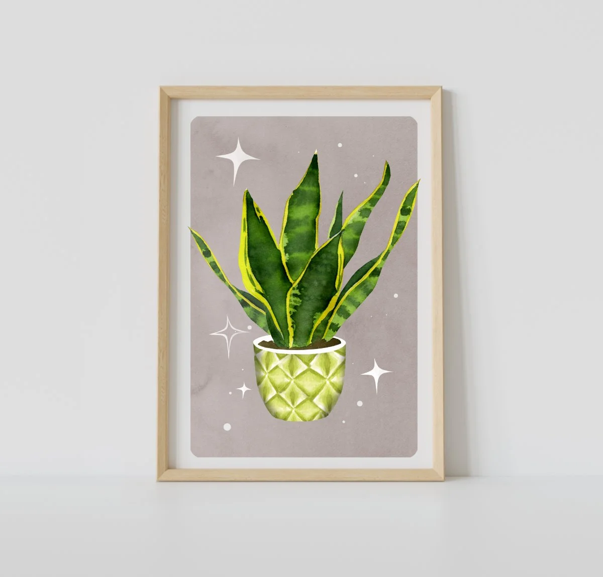sansevieria.jpg