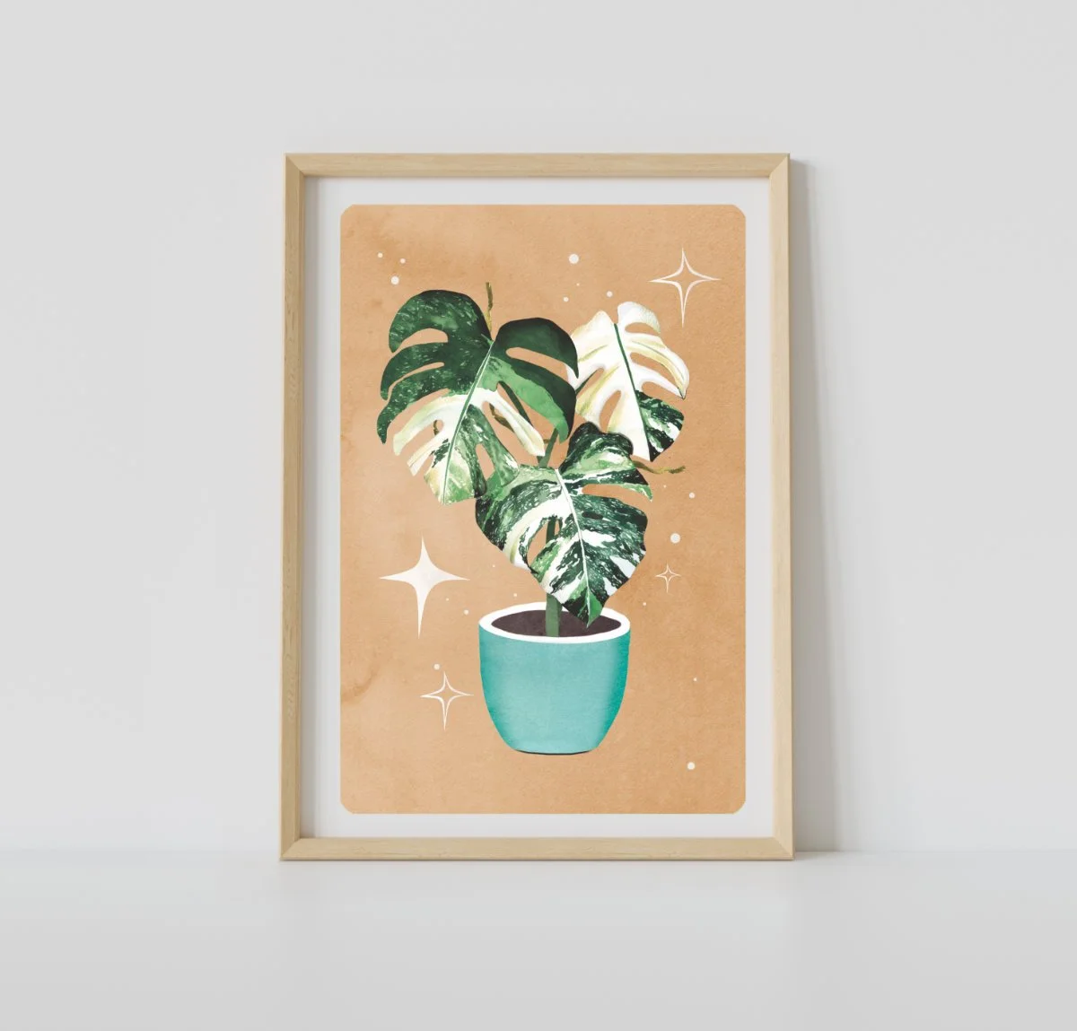monstera var.jpg