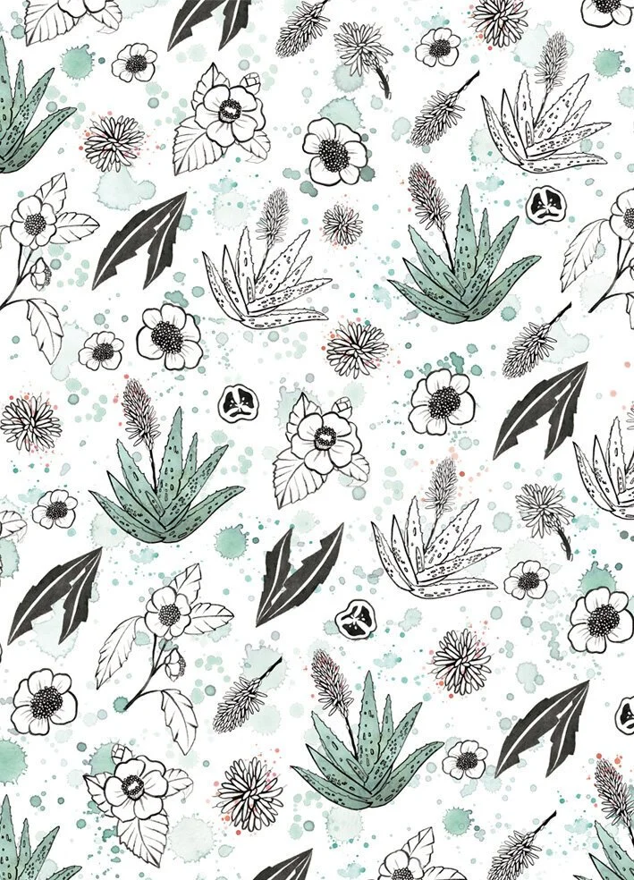 Diego dalla Palma Pro