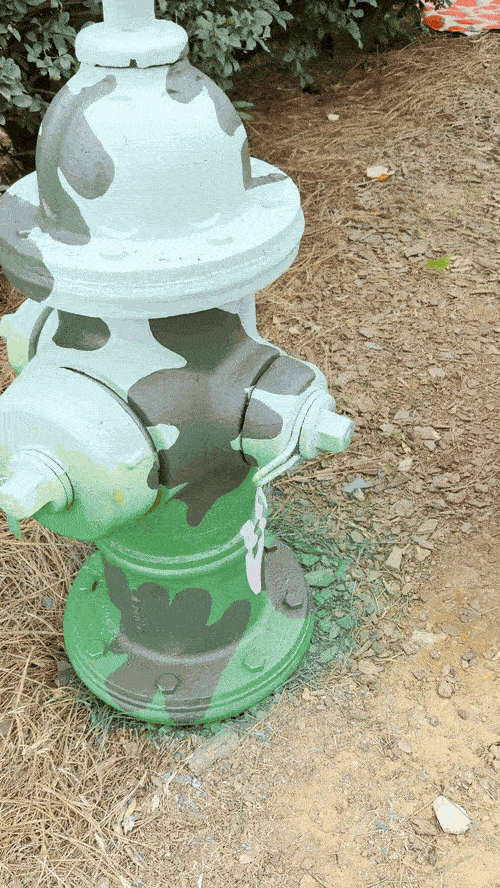 Fire hydrant painted with camouflage colors, located on dirt ground with some grass and small plants around, and bushes in the background.