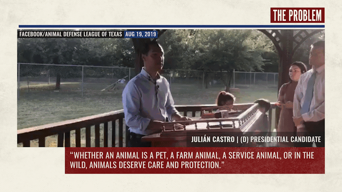 A young man speaking in front of an audience at a panel, with friends or supporters standing nearby, during an event on August 19, 2019, discussing animal care and protection.