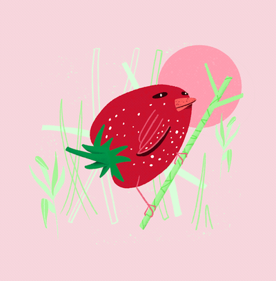 Strawberry Finch