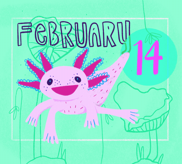 Cartoon illustration of a happy, purple axolotl with bright pink and purple gills, floating in a green background with the text "February 14" and playful plant elements.