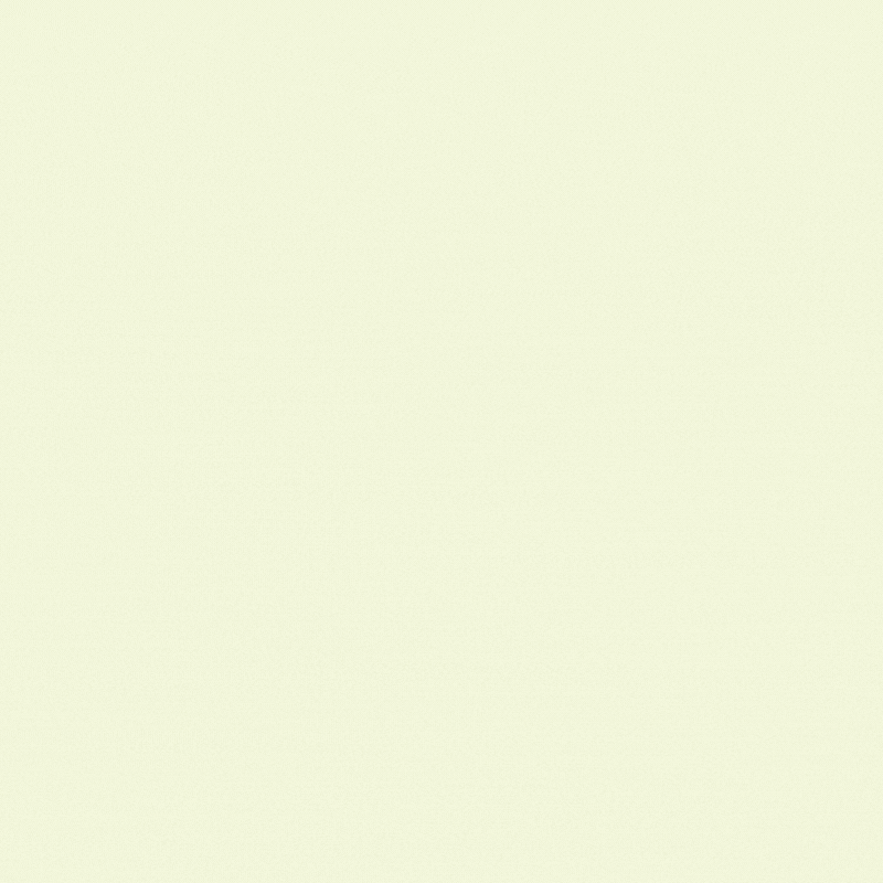 The image is a blank, light-colored background with no distinguishable objects or details.