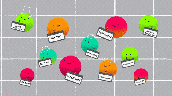 Colorful cartoon balls with smiley faces labeled with different neurotransmitters and chemicals, including opioid peptides, glycine, histamine, carbon monoxide, dopamine, taupine, serotonin, adrenaline, amdorphine, and oxytocin, on a grid background.