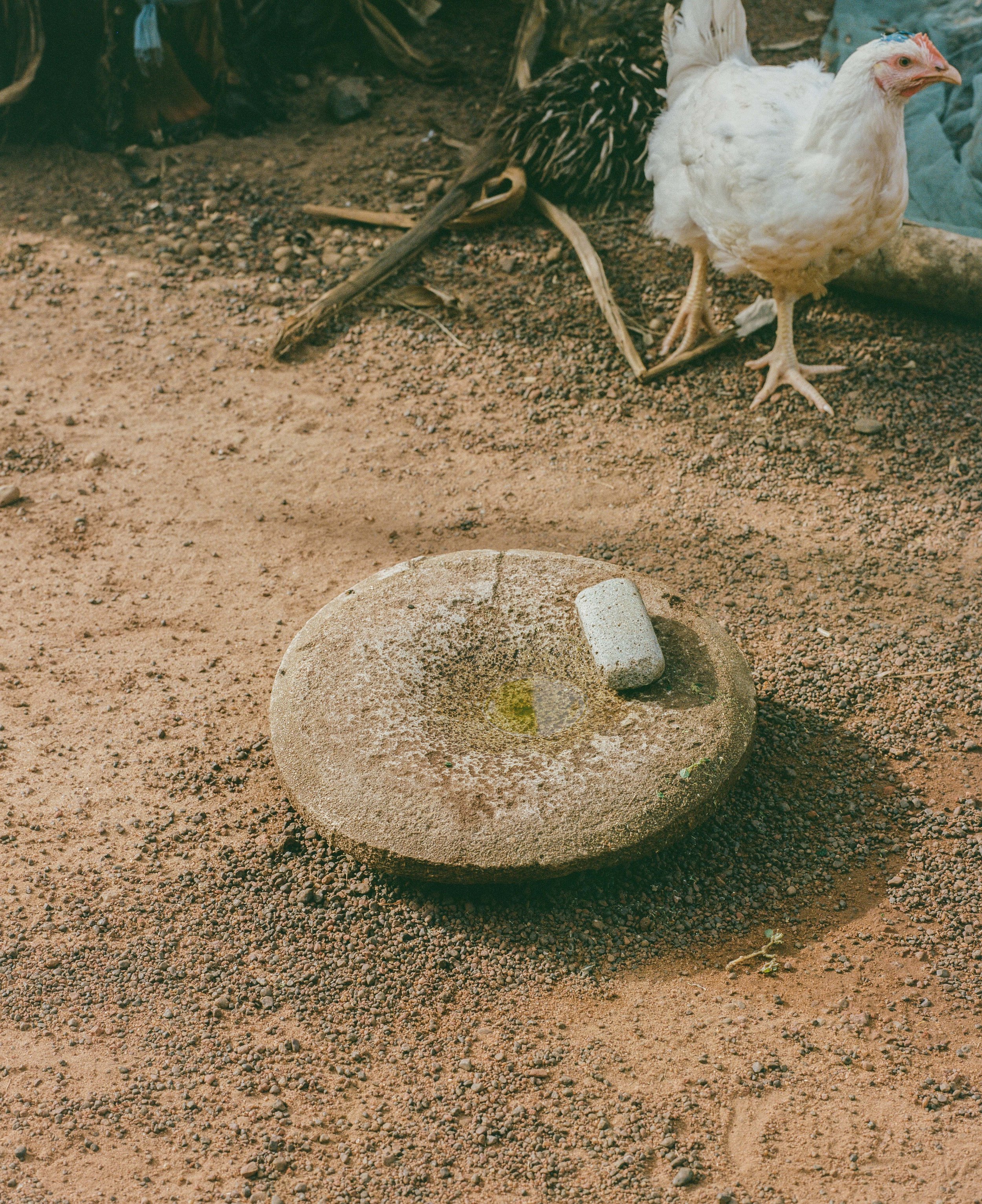 sized-8.jpg