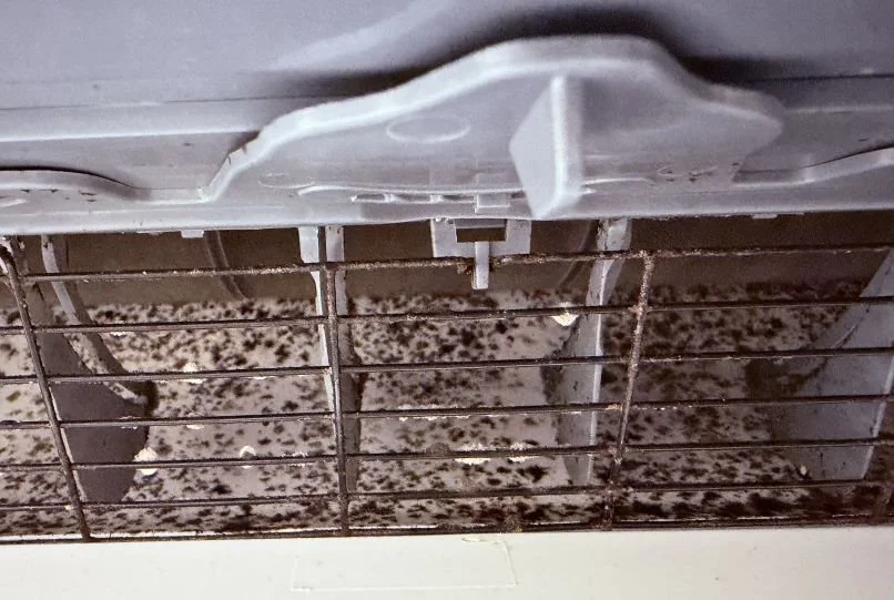 Mould Build Up within the Indoor Unit 