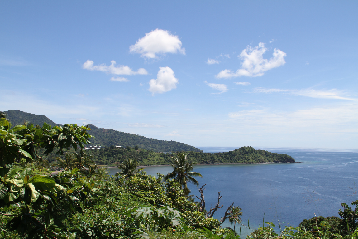 Paysage côtier tropical avec palmiers, mer bleue et collines verdoyantes sous un ciel bleu avec quelques nuages.