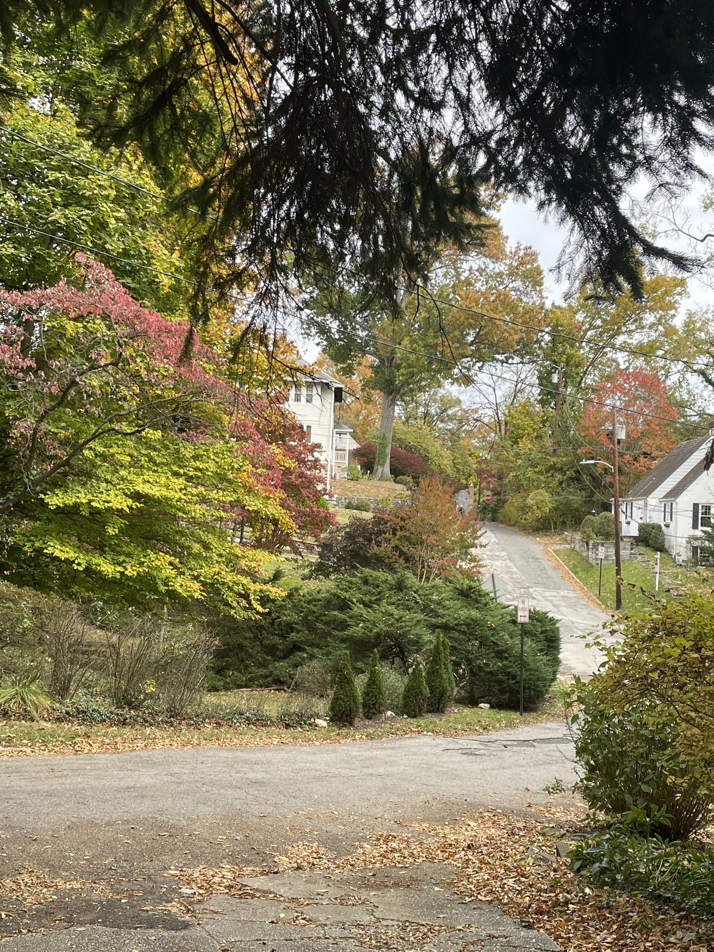 Why Poetry Matters Today: Reflections on Complaint of El Río Grande