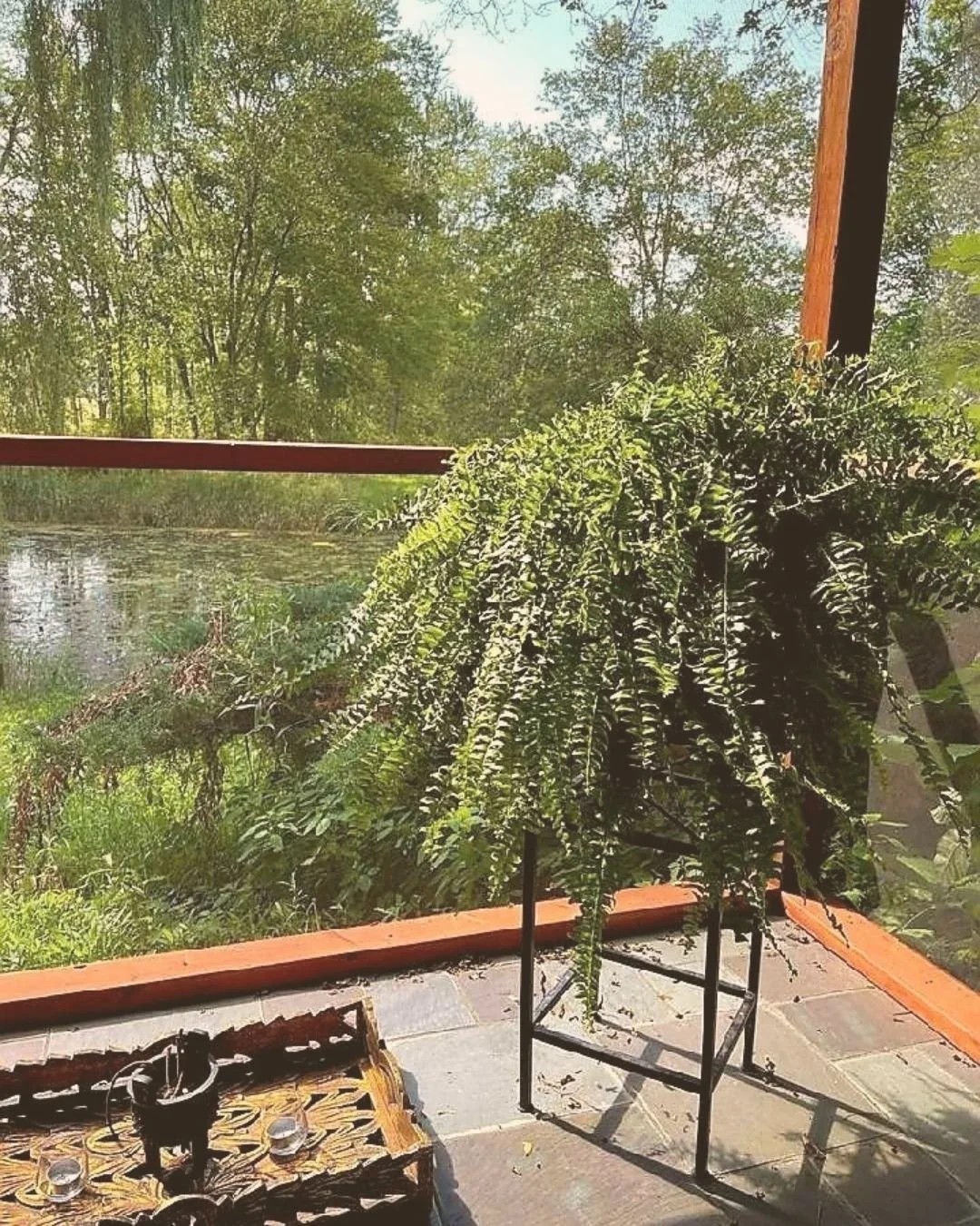Peaceful view of a garden pond and lush greenery from a balcony, representing a calm space for reflection.