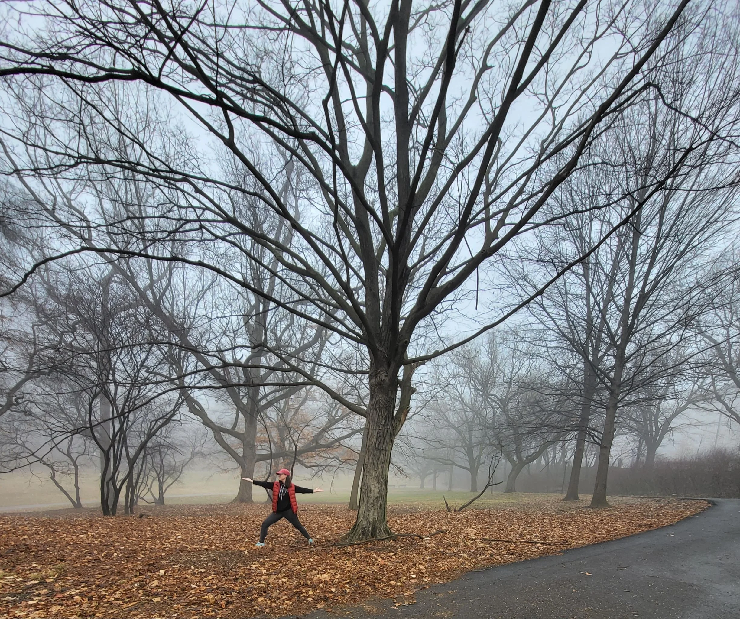 Person standing with arms outstretched beneath a large leafless tree on a foggy winter day.