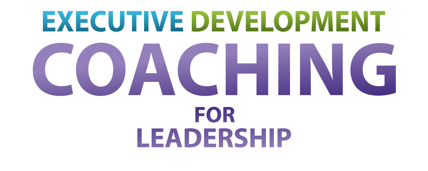 Executive Development Coaching