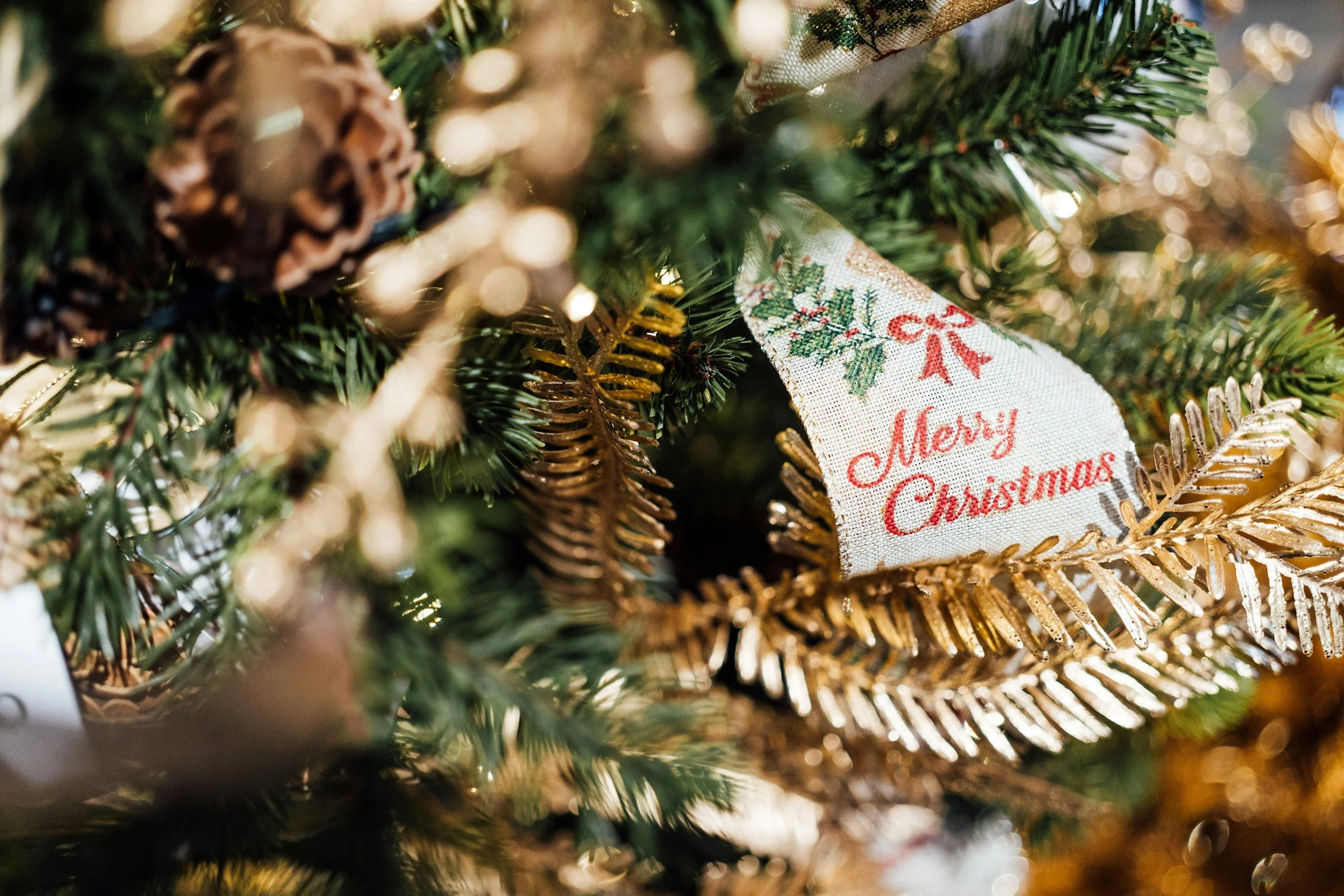 Merry Christmas from the CCFW