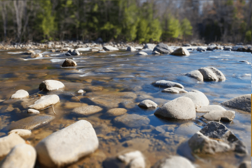 Dear River: Writing Our Watersheds