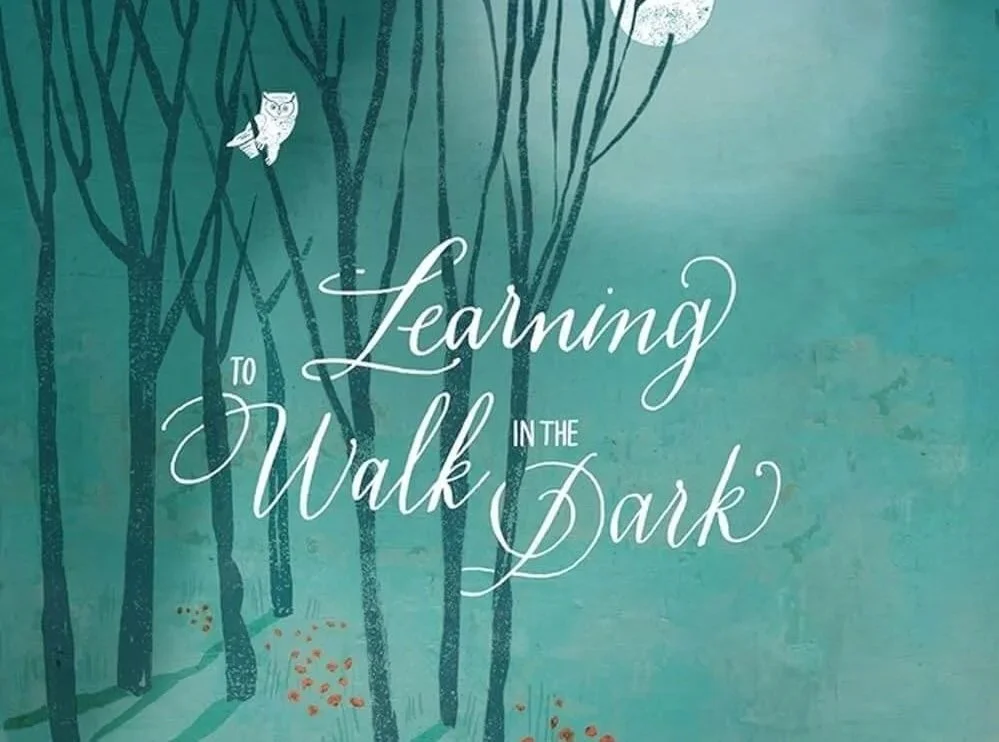 The Dark is Not Evil—A Review of Learning to Walk in the Dark