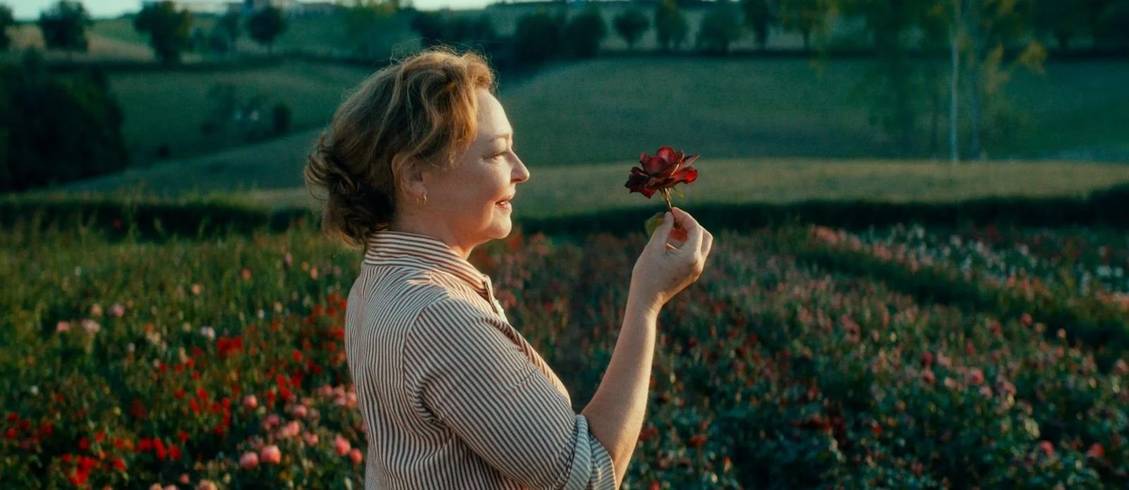 affiche la fine fleur