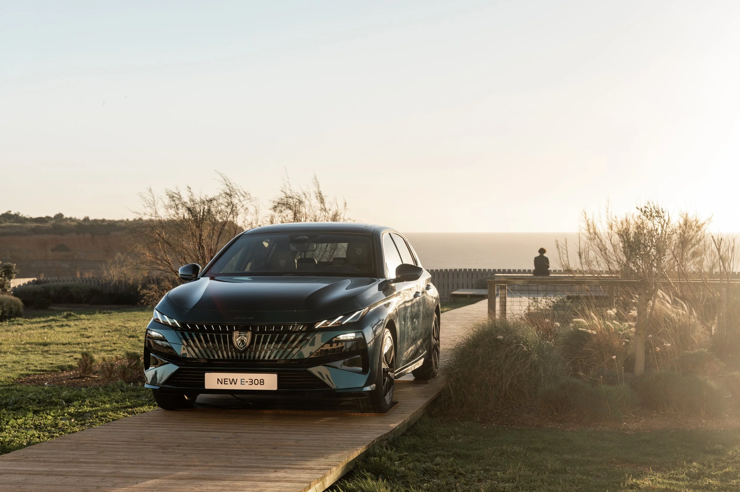 PEUGEOT - 308
