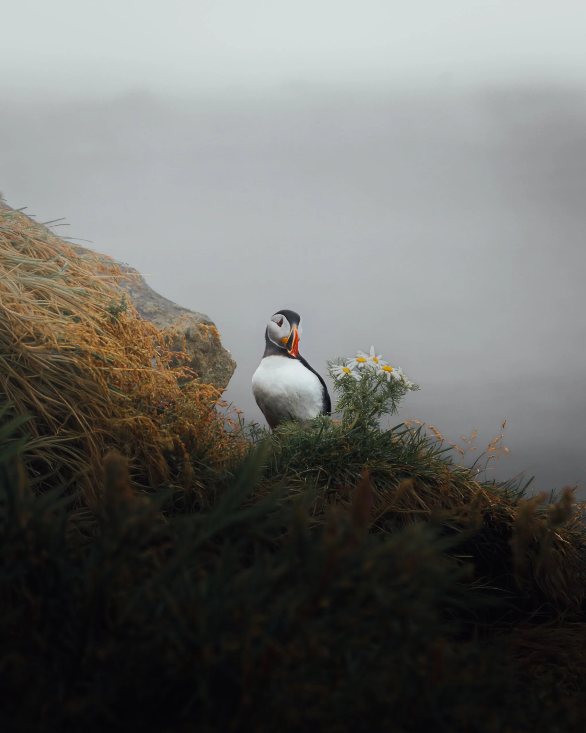 Untitled-39.jpg