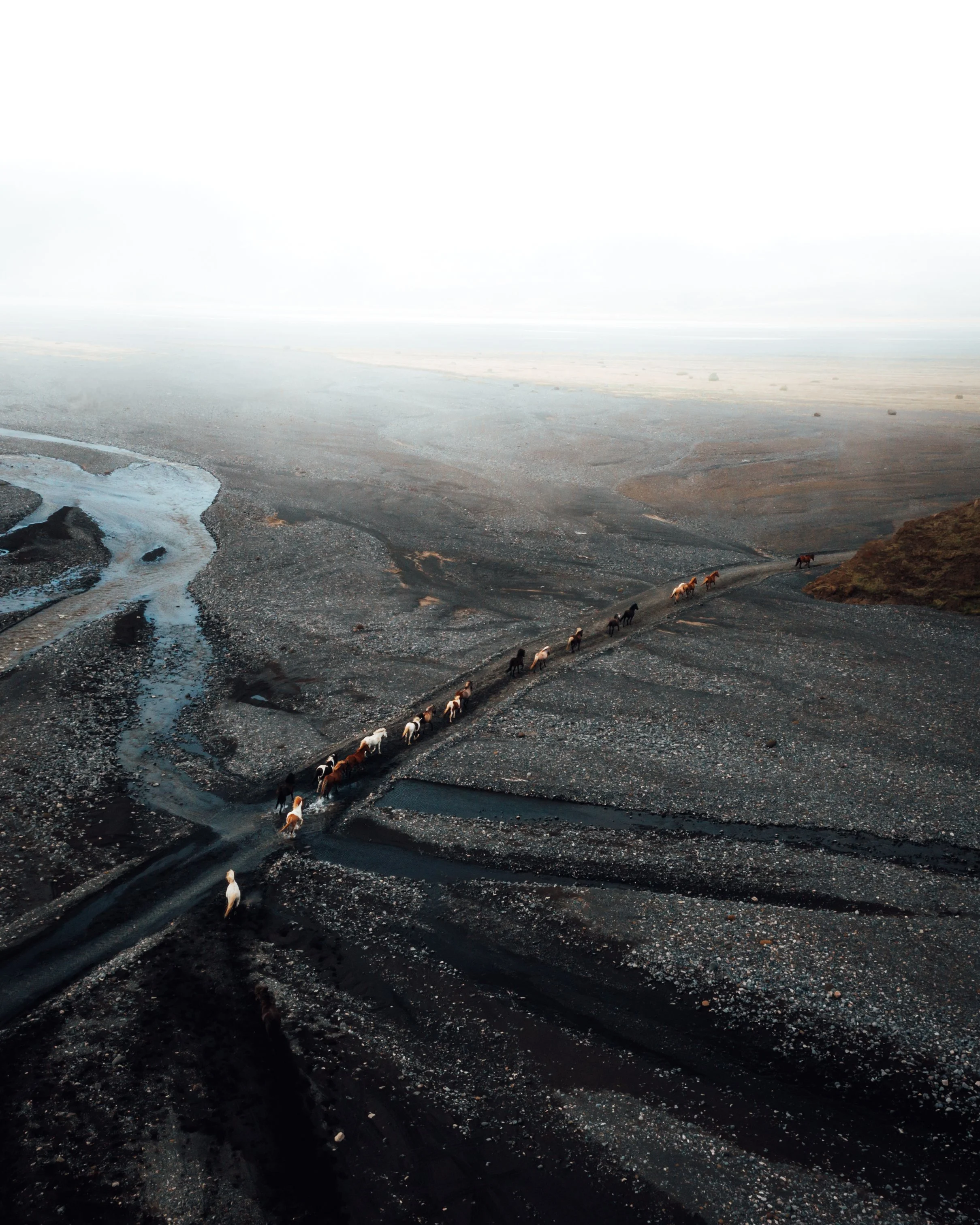 DJI_0311.jpg