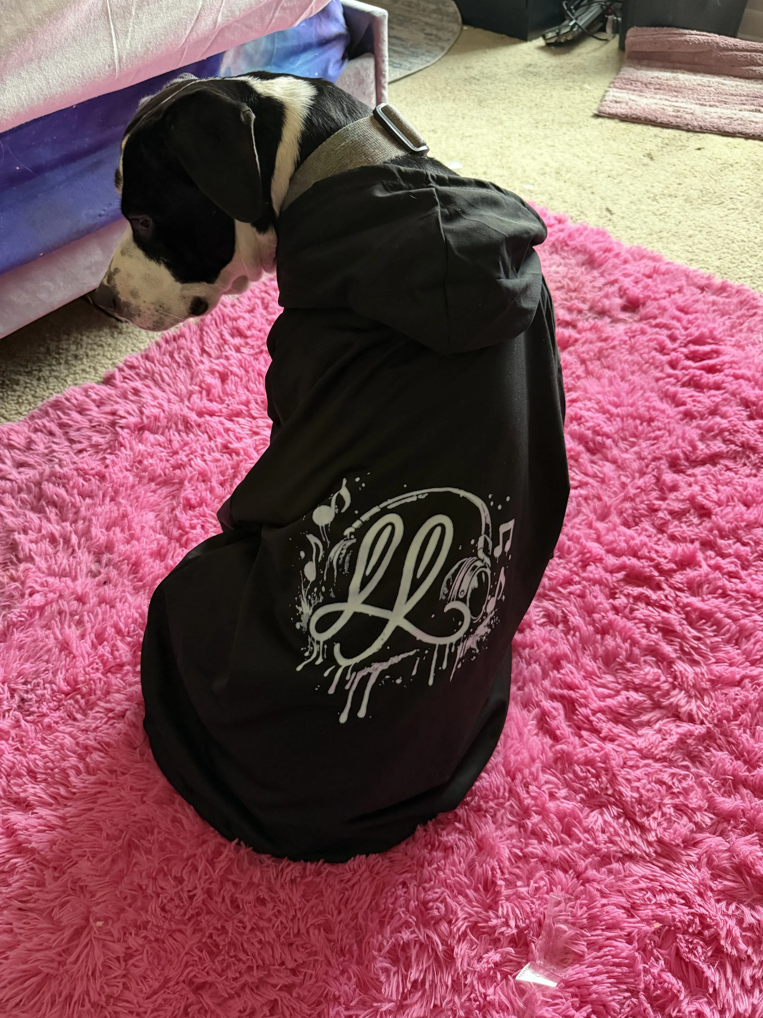 LL Hooded Sweatshirt