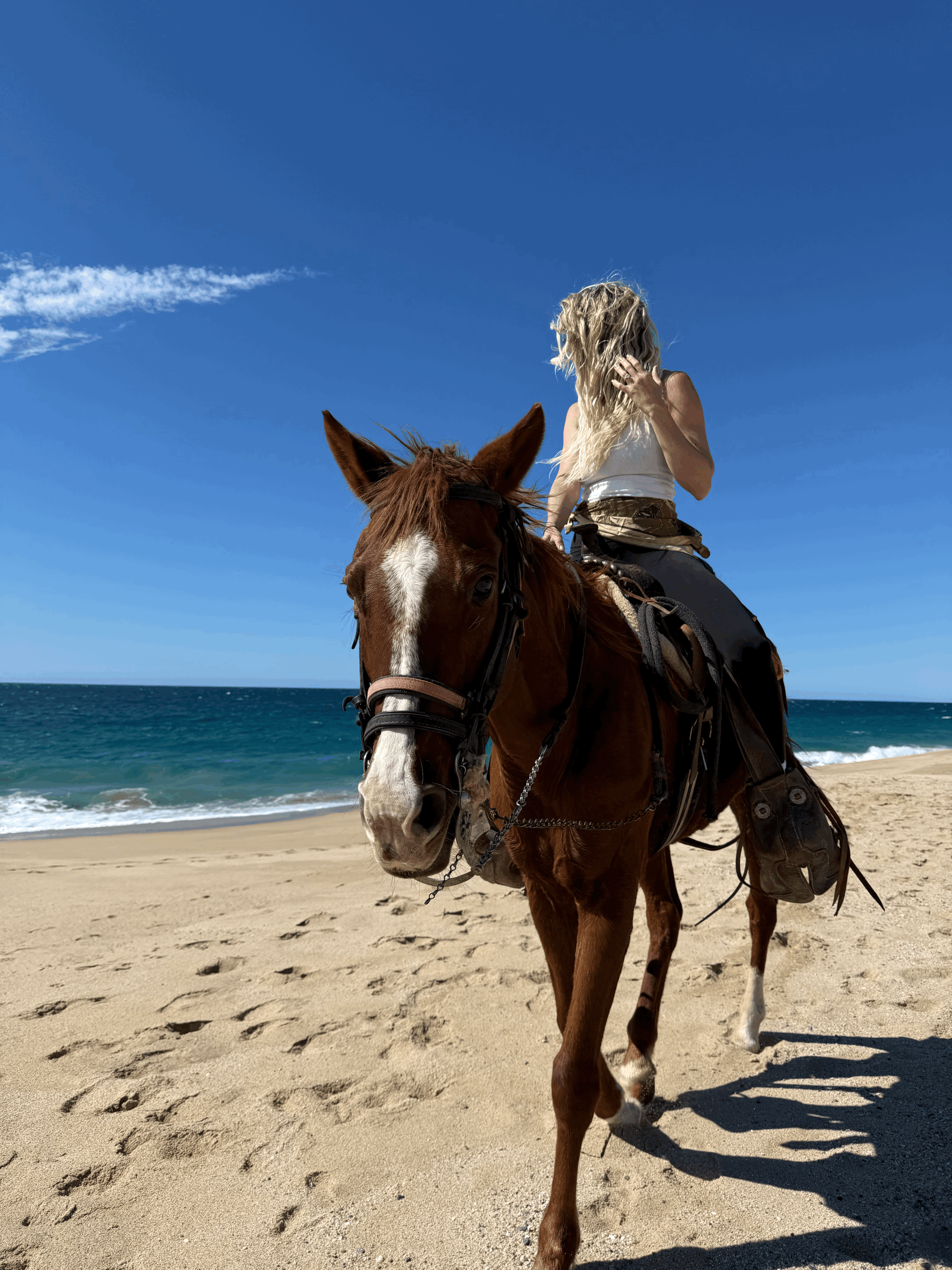 Finding Peace on Horseback