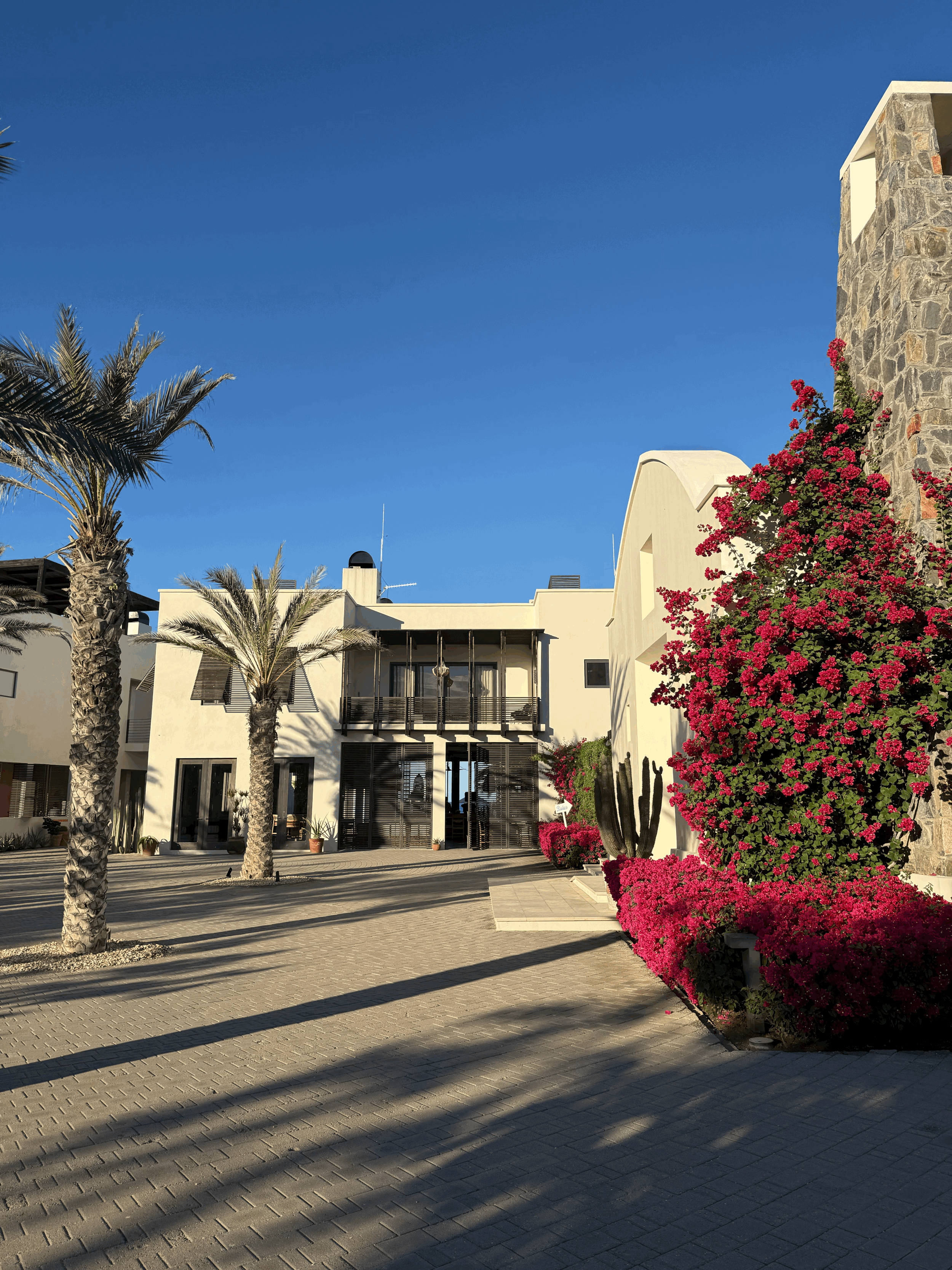 A Corner of Baja I’ll Dream About Forever