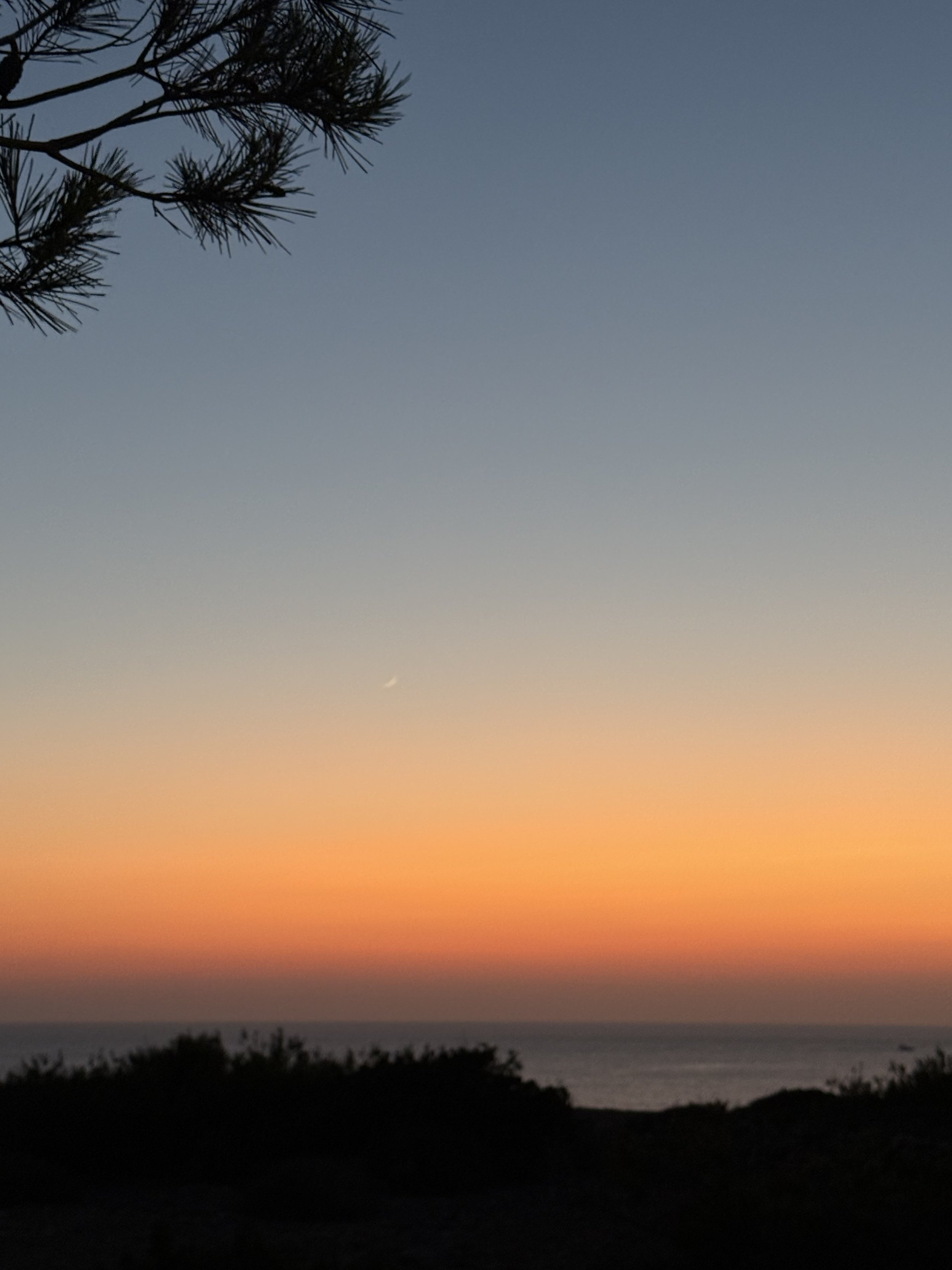 formentera9.jpg