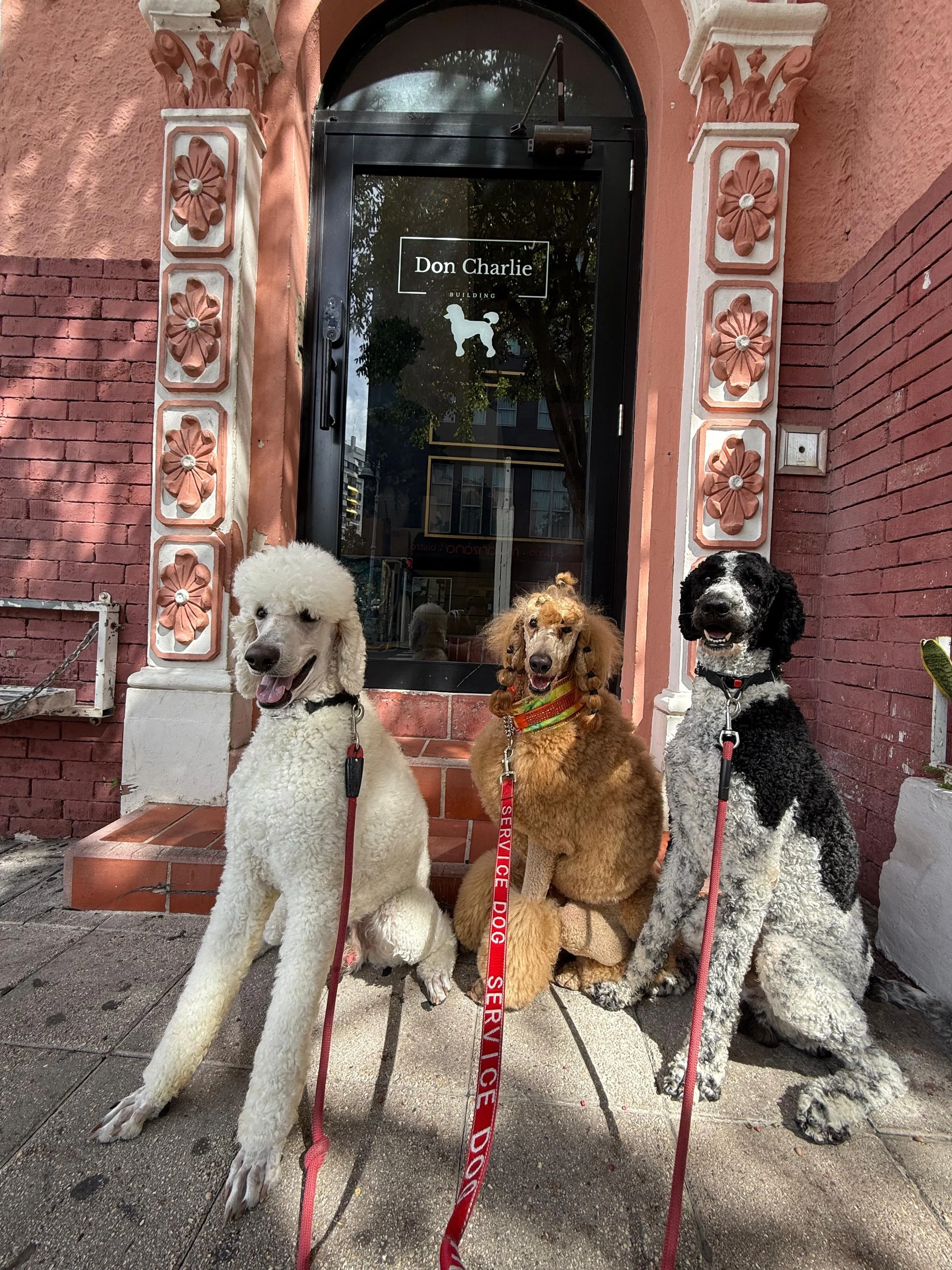 A Different Kind of Love Story