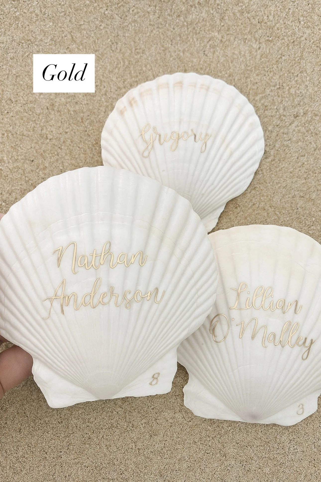 scallop shell escort cards with gold font, first last name with table number.