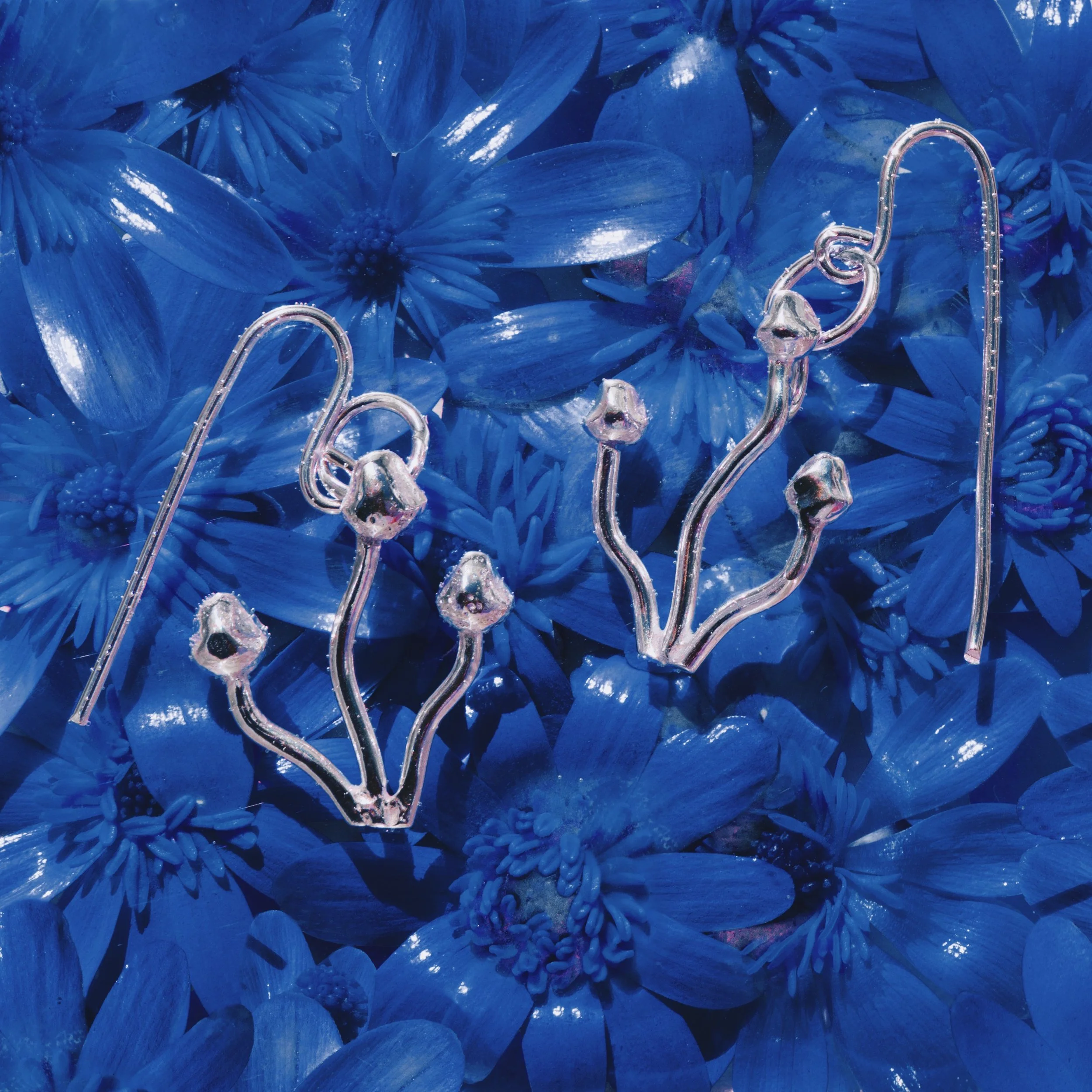 3Z7A0874Blue_VSCO.JPG