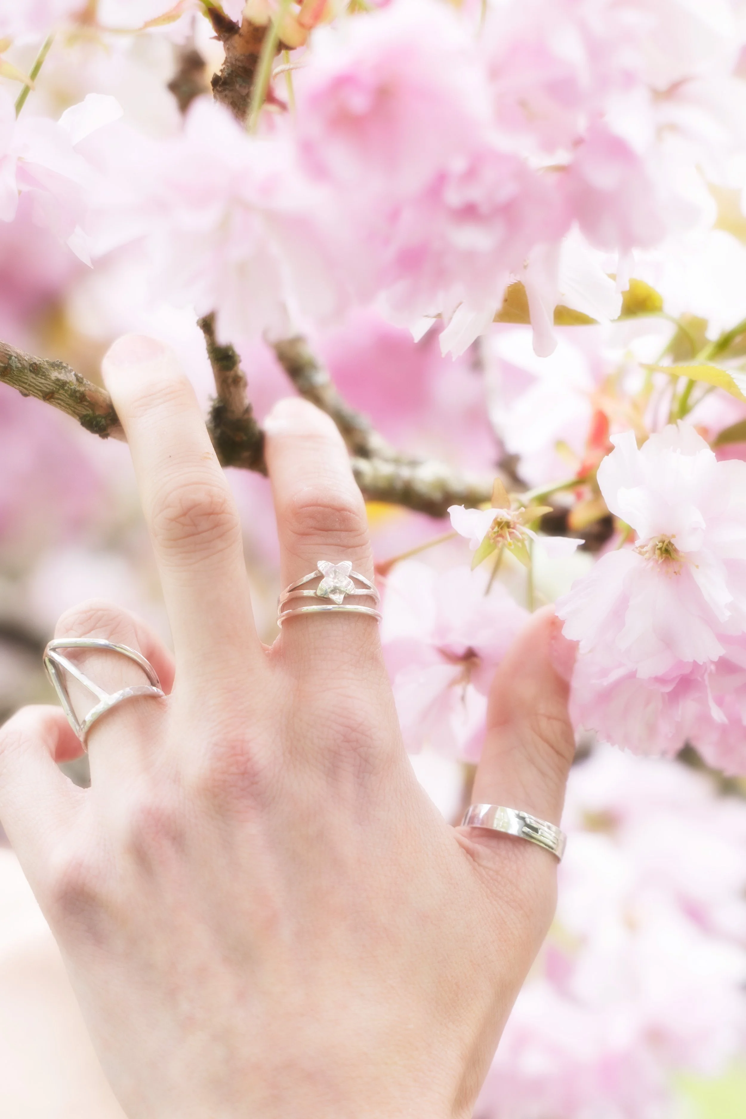 A Page of Silver: Spring/ Summer