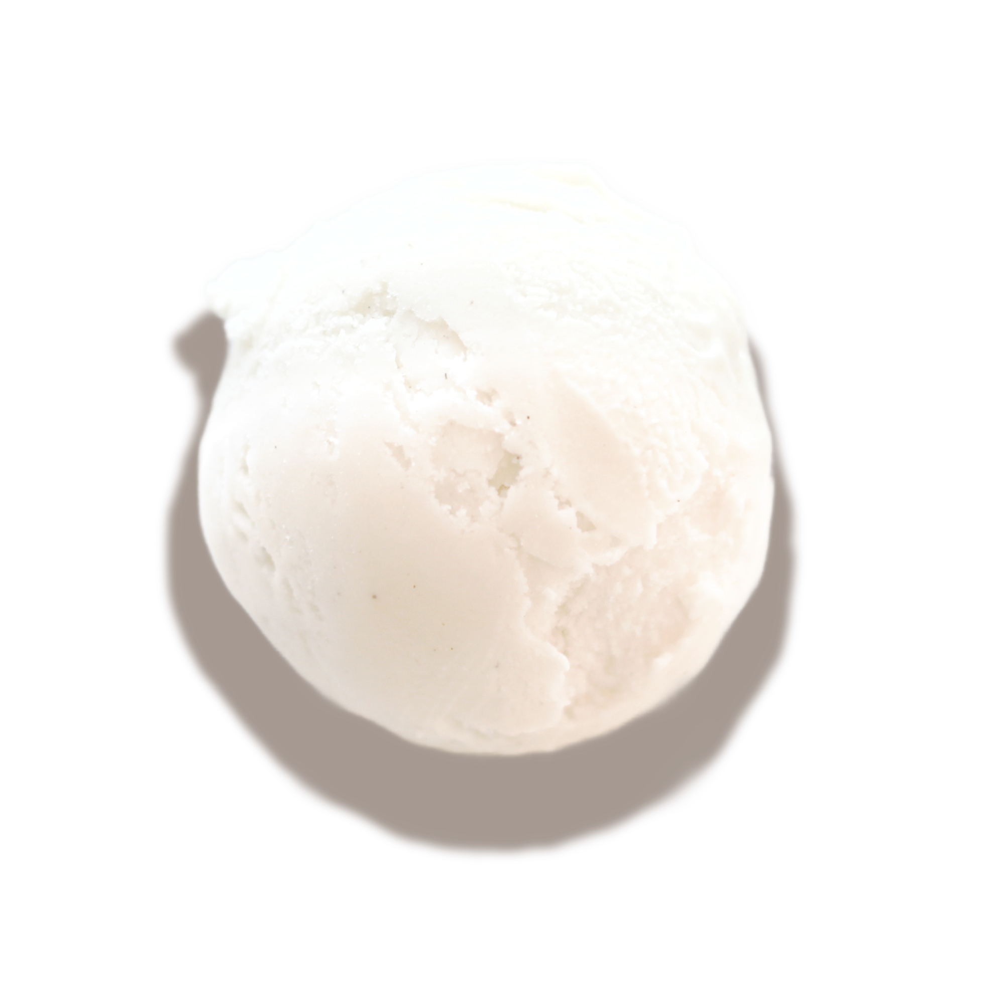Vegan Vanilla Ice Cream