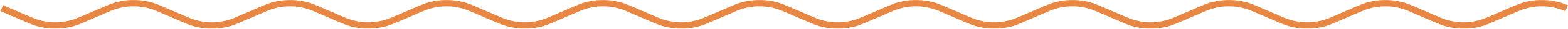 Wavy Orange Line