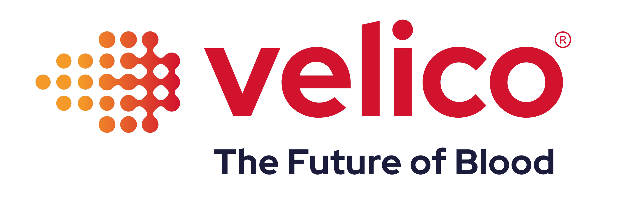 Velico Tagline Logo RGB┬«.png
