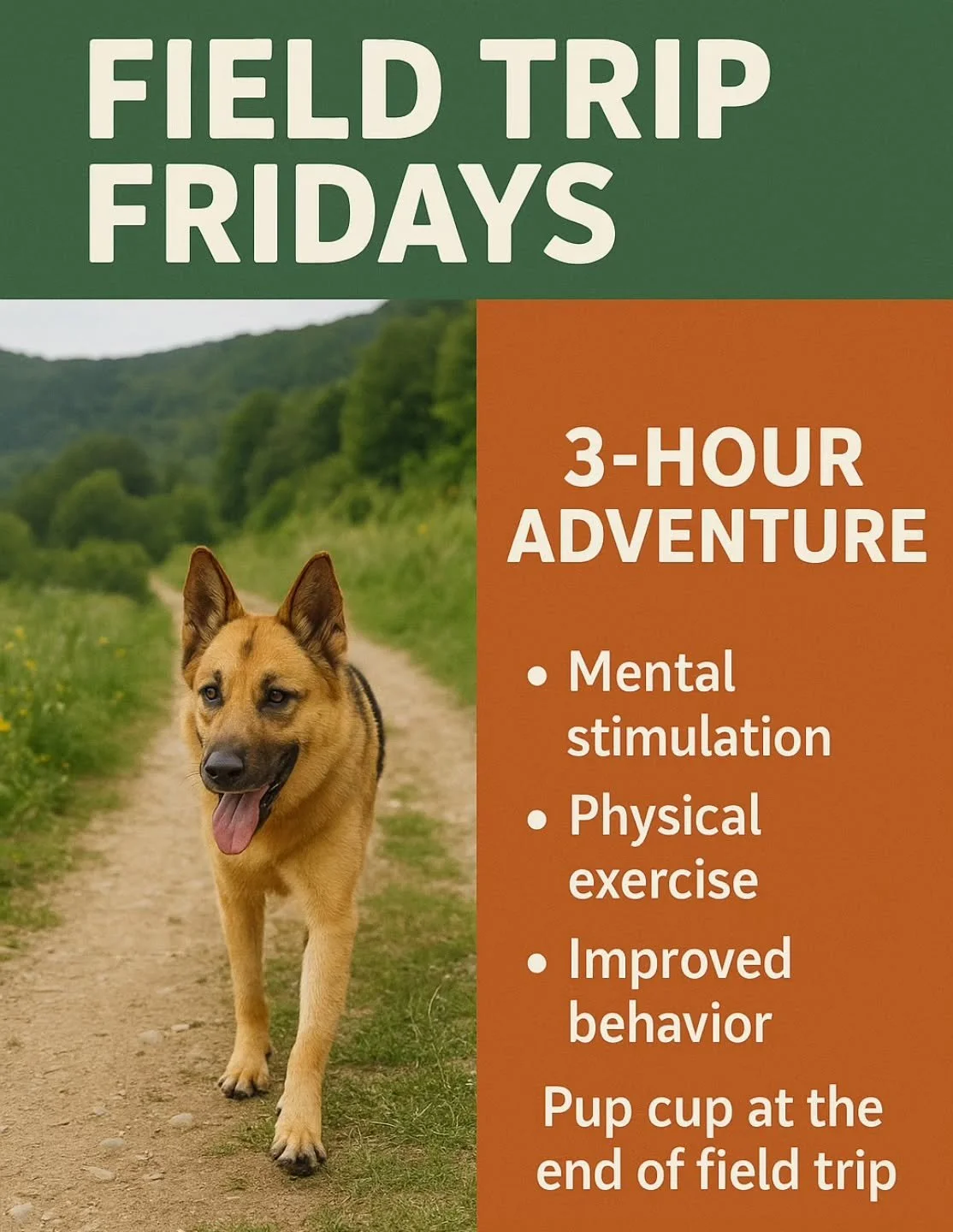 The weather is looking pawfect this Friday ☀️ let’s make the most of it!
Give your furry friend the ultimate 3-hour adventure with our Field Trip Fridays! 🌳
Whether it’s their favorite park or a local trail you’ve been wanting to