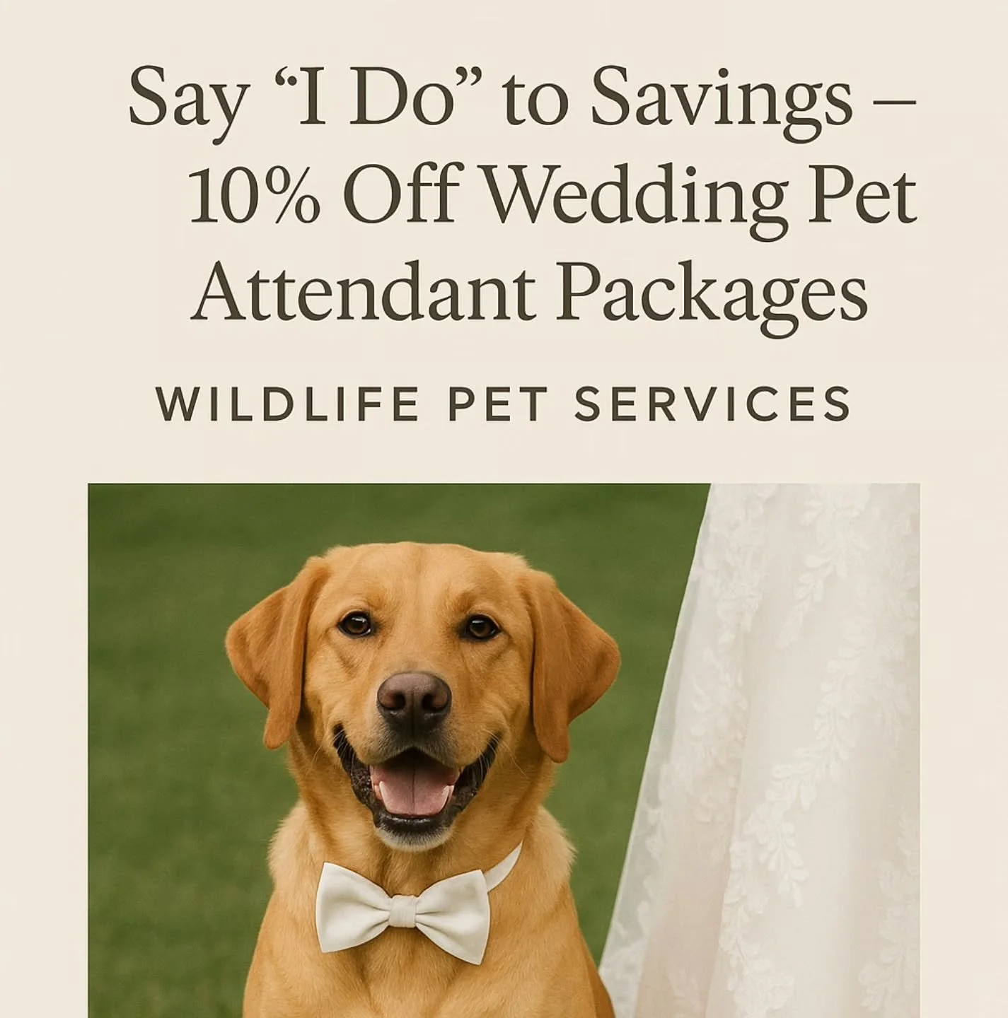 ✨ Promotion Extended!
Because Love Deserves Every Beautiful Detail ✨

We&rsquo;re delighted to extend our wedding promotion through January. 🤍💍

Book any Wedding Pet Attendant package in December or January and enjoy 10% off for your 2026 celebrati