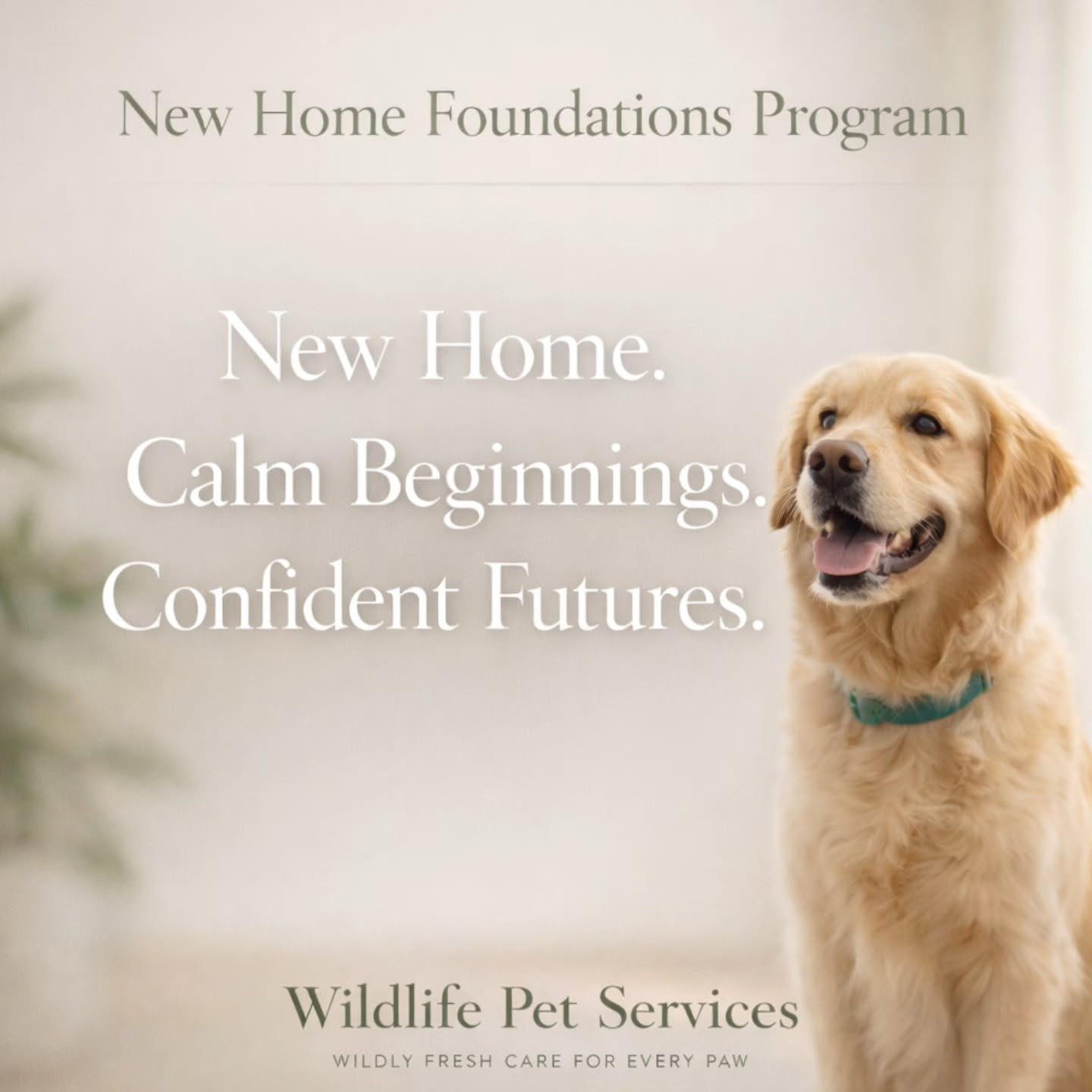 Introducing Our New Home Foundations Program Coming 2026 🏡

As we move into the new year, one of our goals at Wildlife Pet Services is to help more dogs get adopted and support new pet parents as they welcome a dog into their home with confidence an
