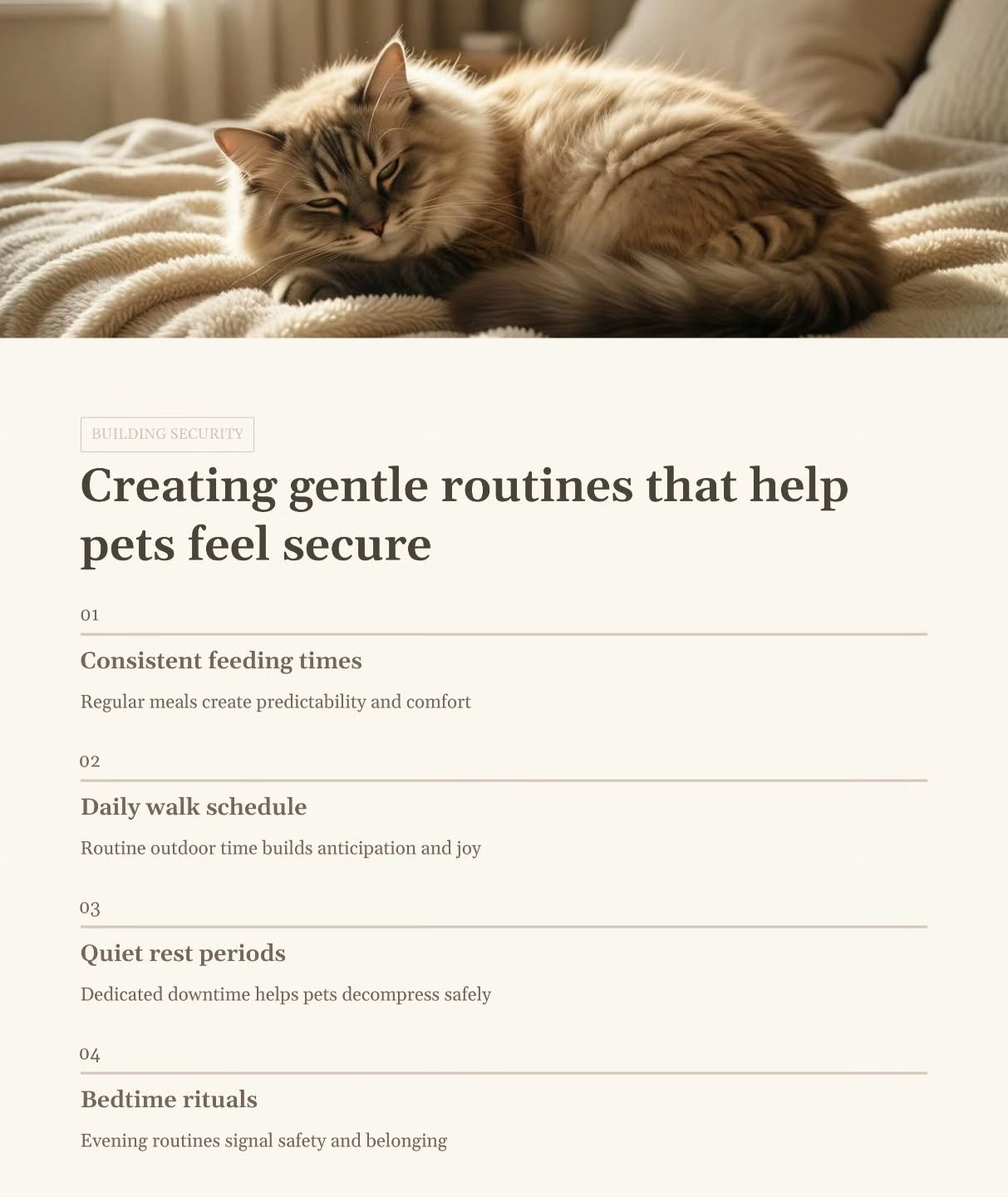 Gentle routines create confident pets 🐕🐈

Consistency, calm care, and familiar rhythms help pets feel safe, relaxed, and understood especially when their days are long or their world is brand new. 🤍

Whether you&rsquo;re a busy working parent or w