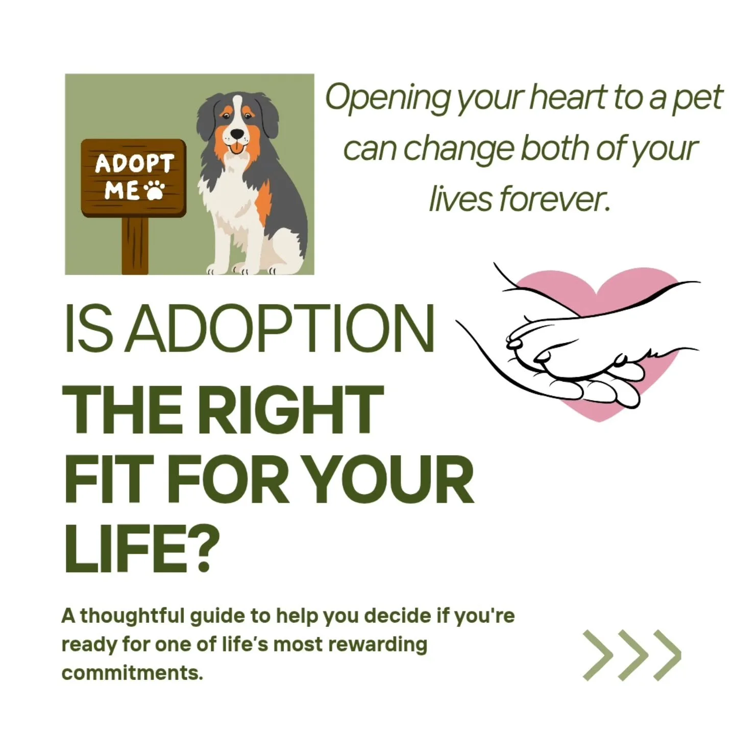 Every shelter pet deserves more than just a home they deserve the chance to feel safe, understood, and deeply loved. 💞

Adoption is a beautiful act of compassion, but the journey doesn&rsquo;t end the day your new pet comes home. The first days and 