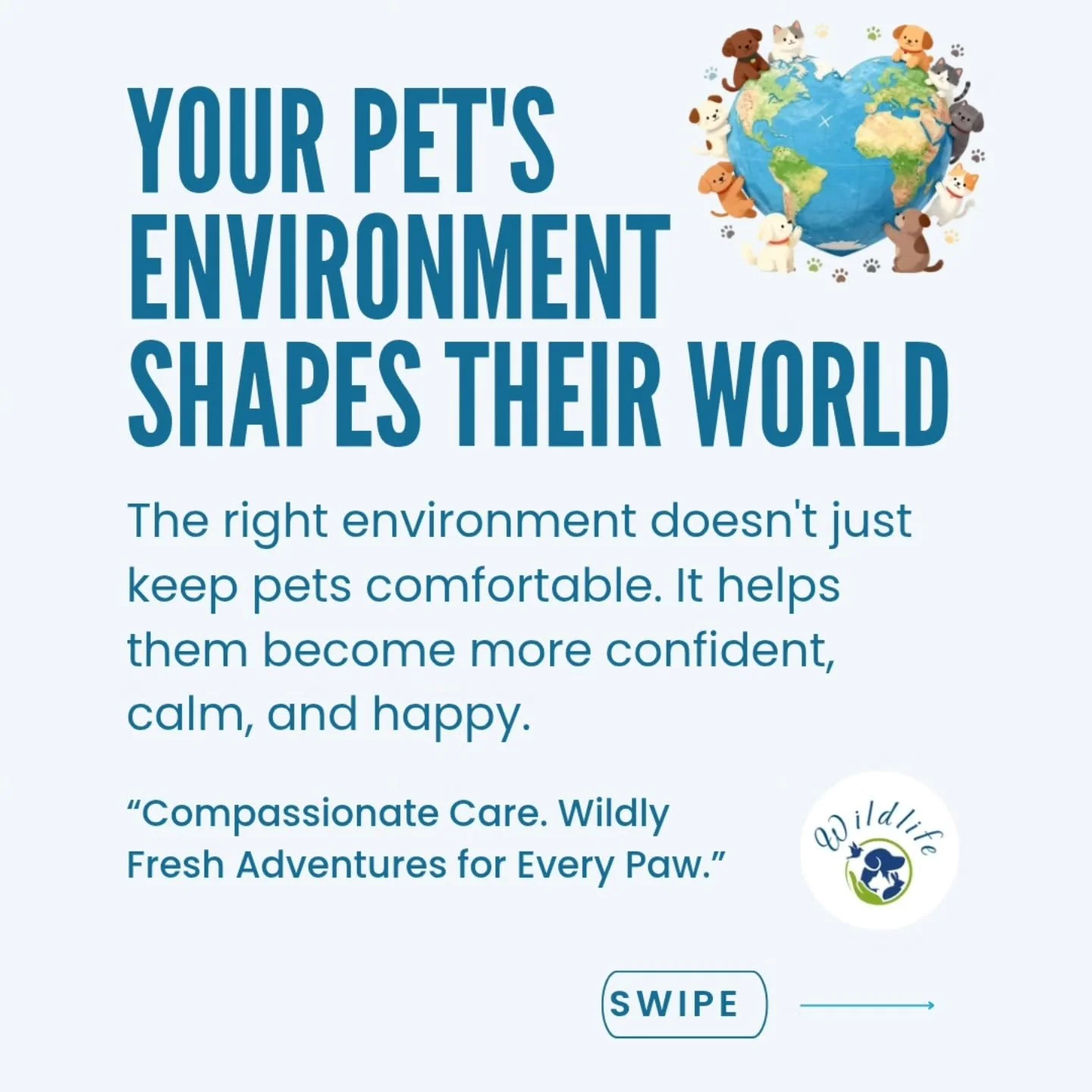 Every pet deserves to feel safe, comfortable, and understood. 🐕🐈💙🐾

One of the greatest benefits of in-home visits is that pets can remain in the environment they know and love. Their favorite bed, familiar smells, daily routine, and the comfort 