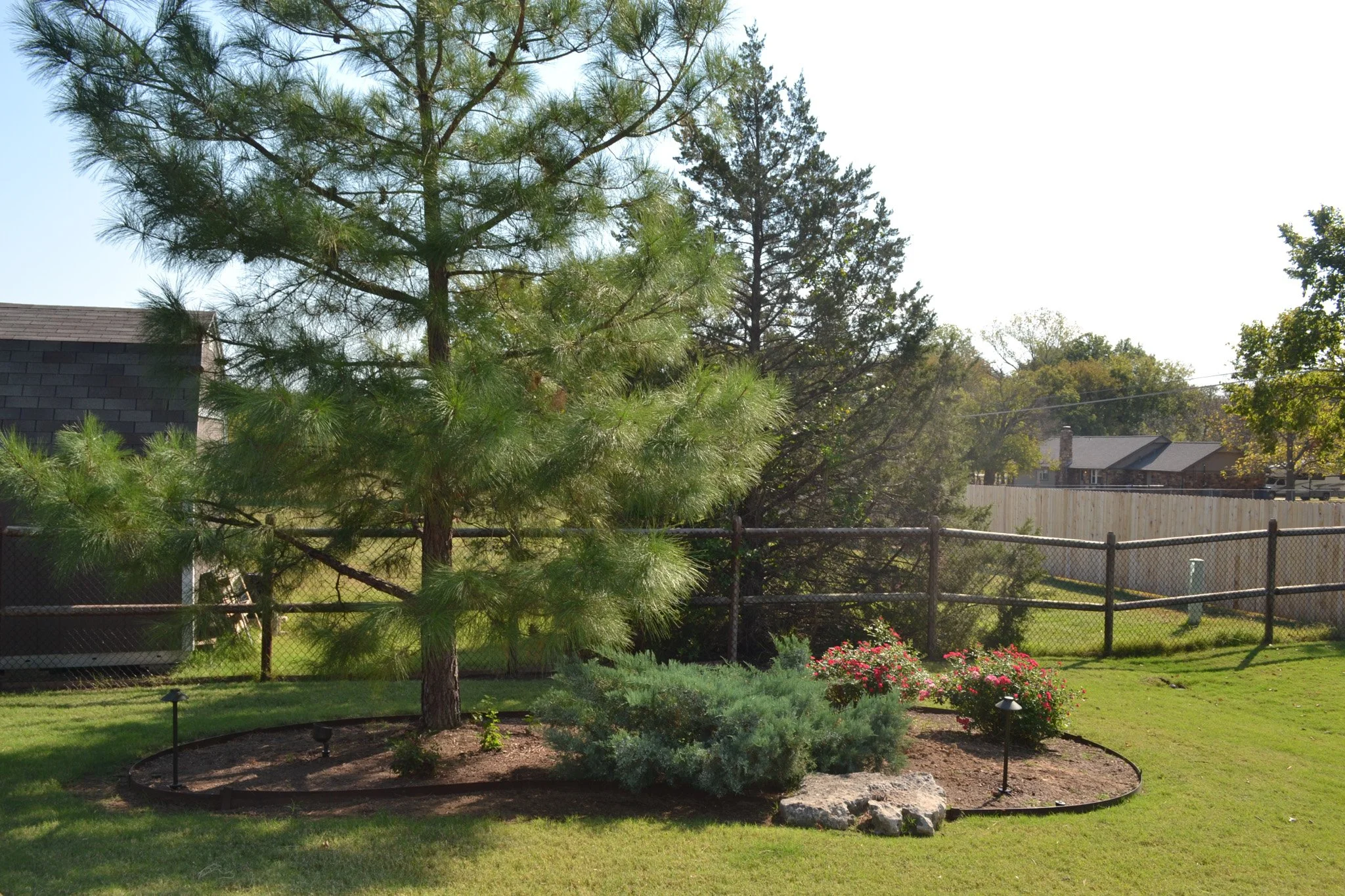 DSC_0062.jpg