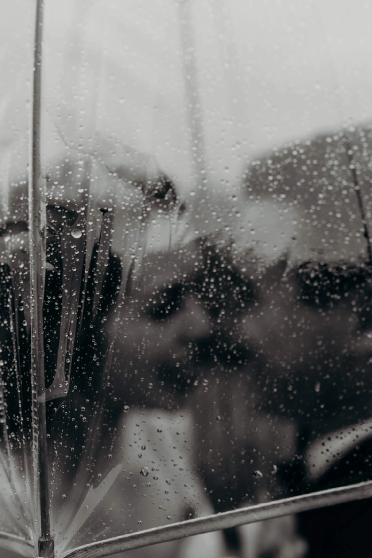 Bride and groom kissing under clear umbrella
